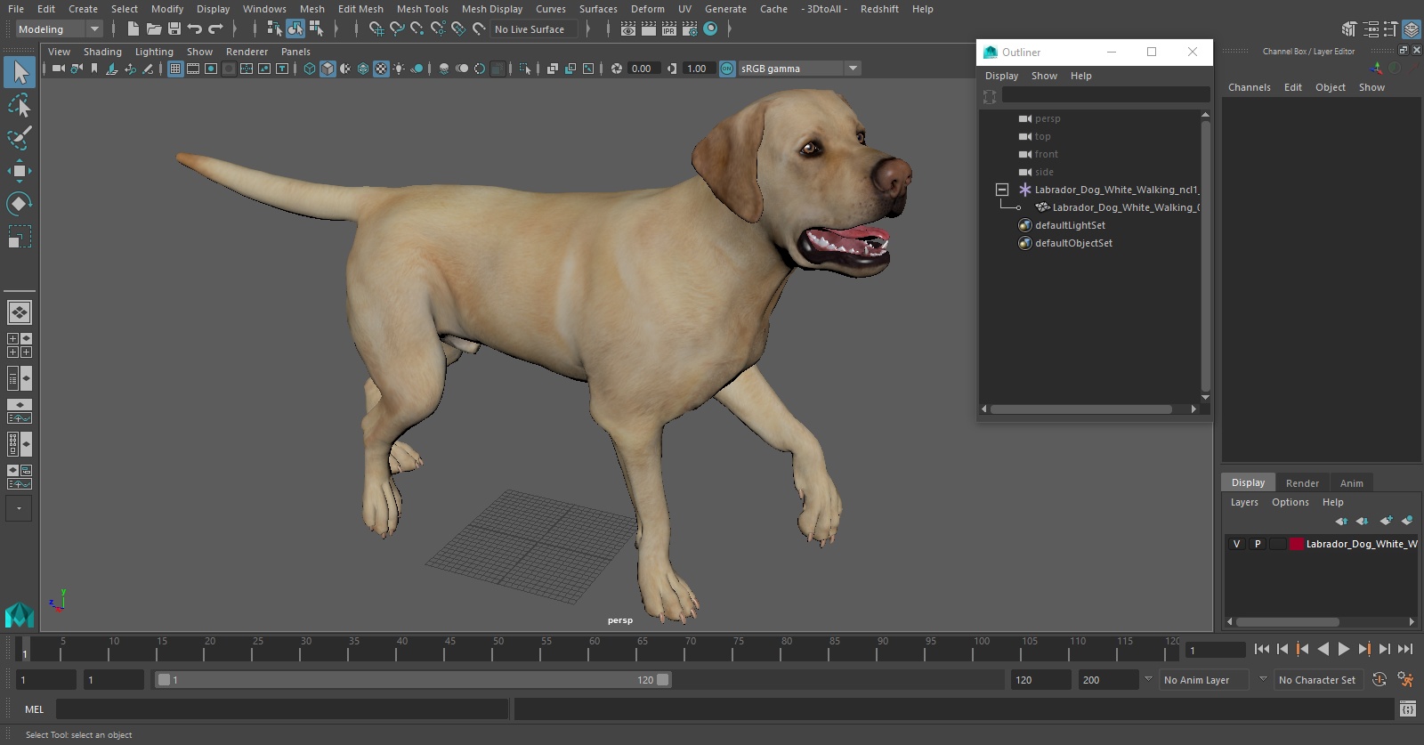 3D Labrador Dog White Walking