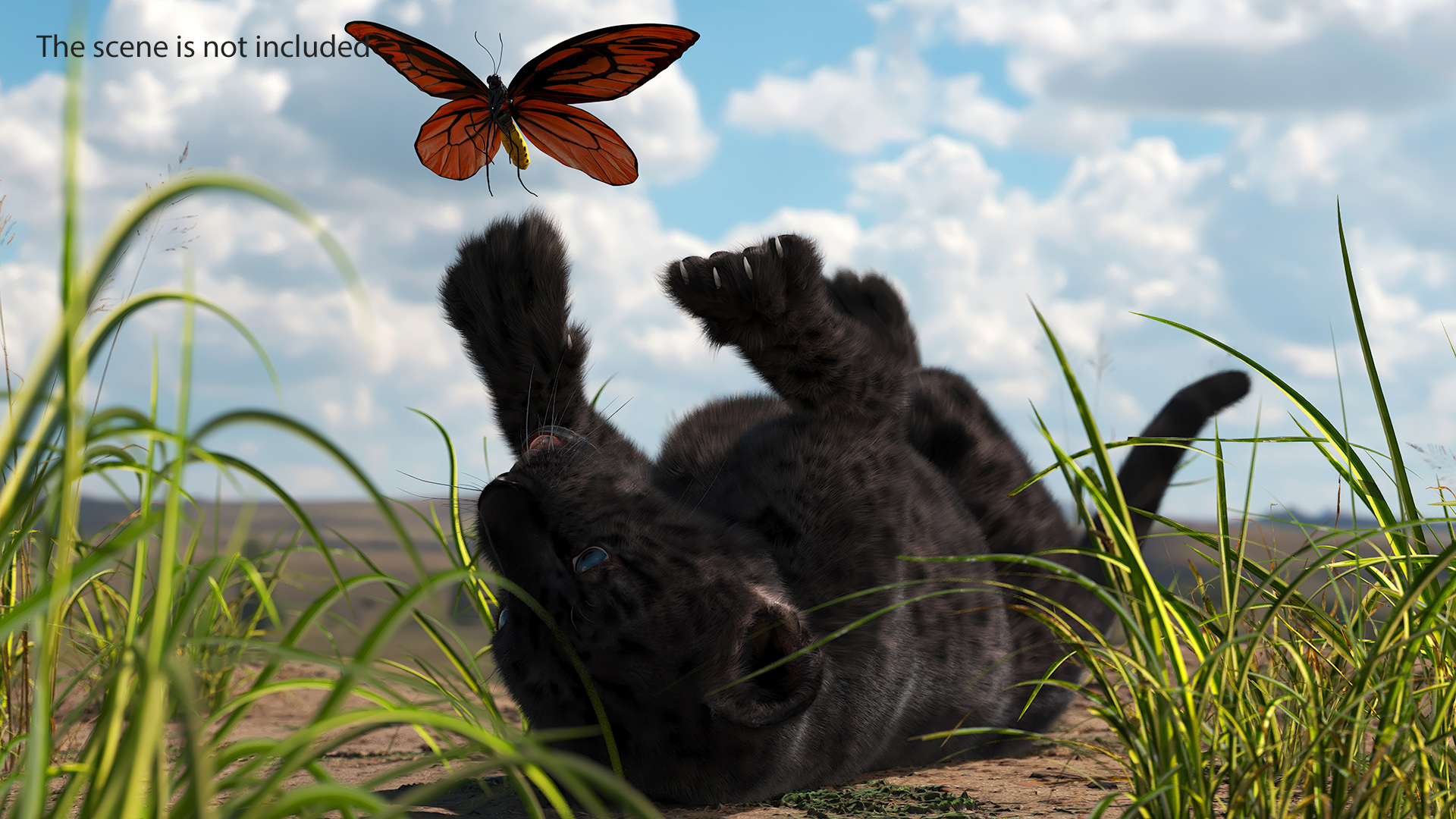 Playful Black Leopard Cub with Butterfly Fur 3D model