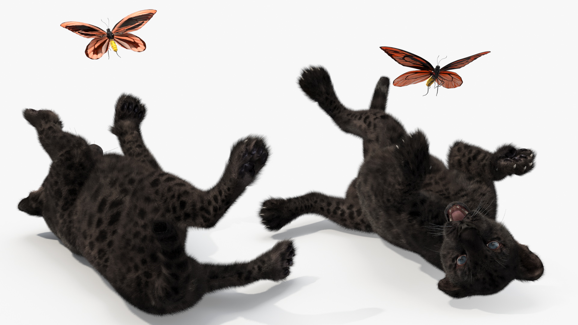 Playful Black Leopard Cub with Butterfly Fur 3D model