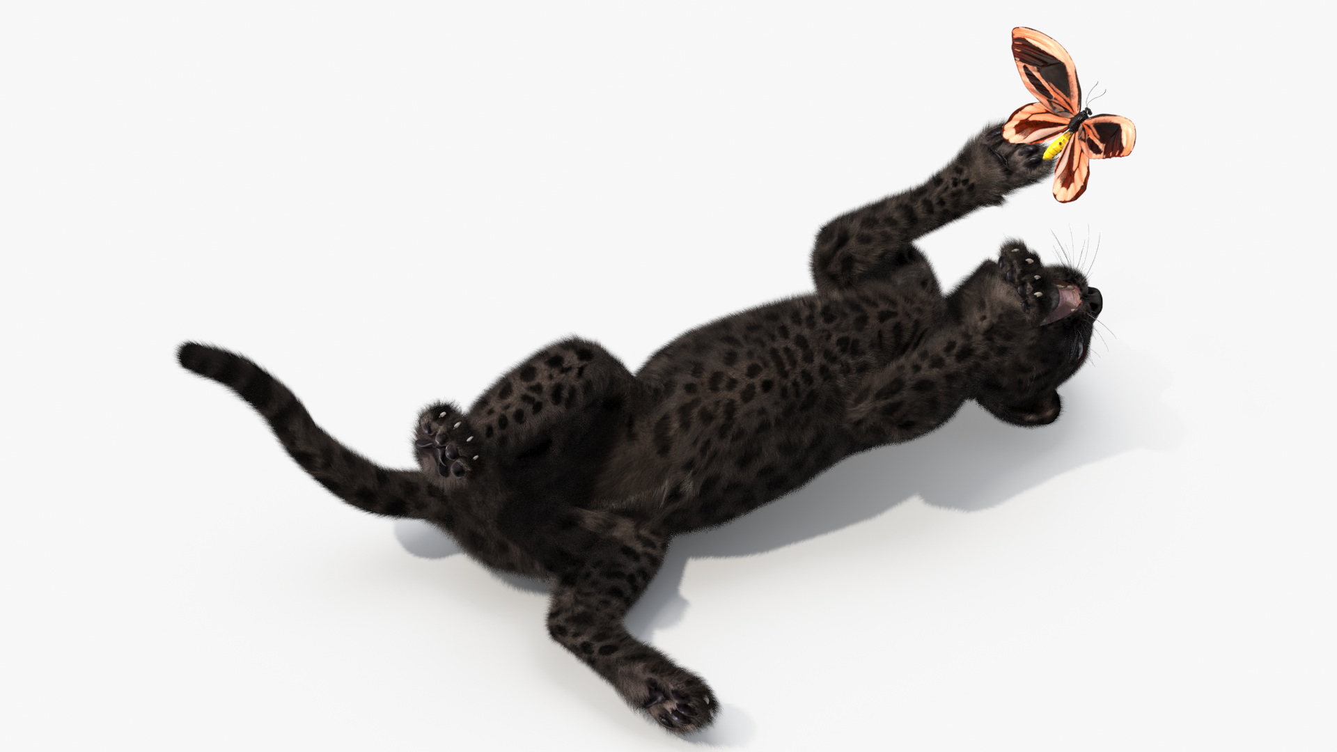 Playful Black Leopard Cub with Butterfly Fur 3D model