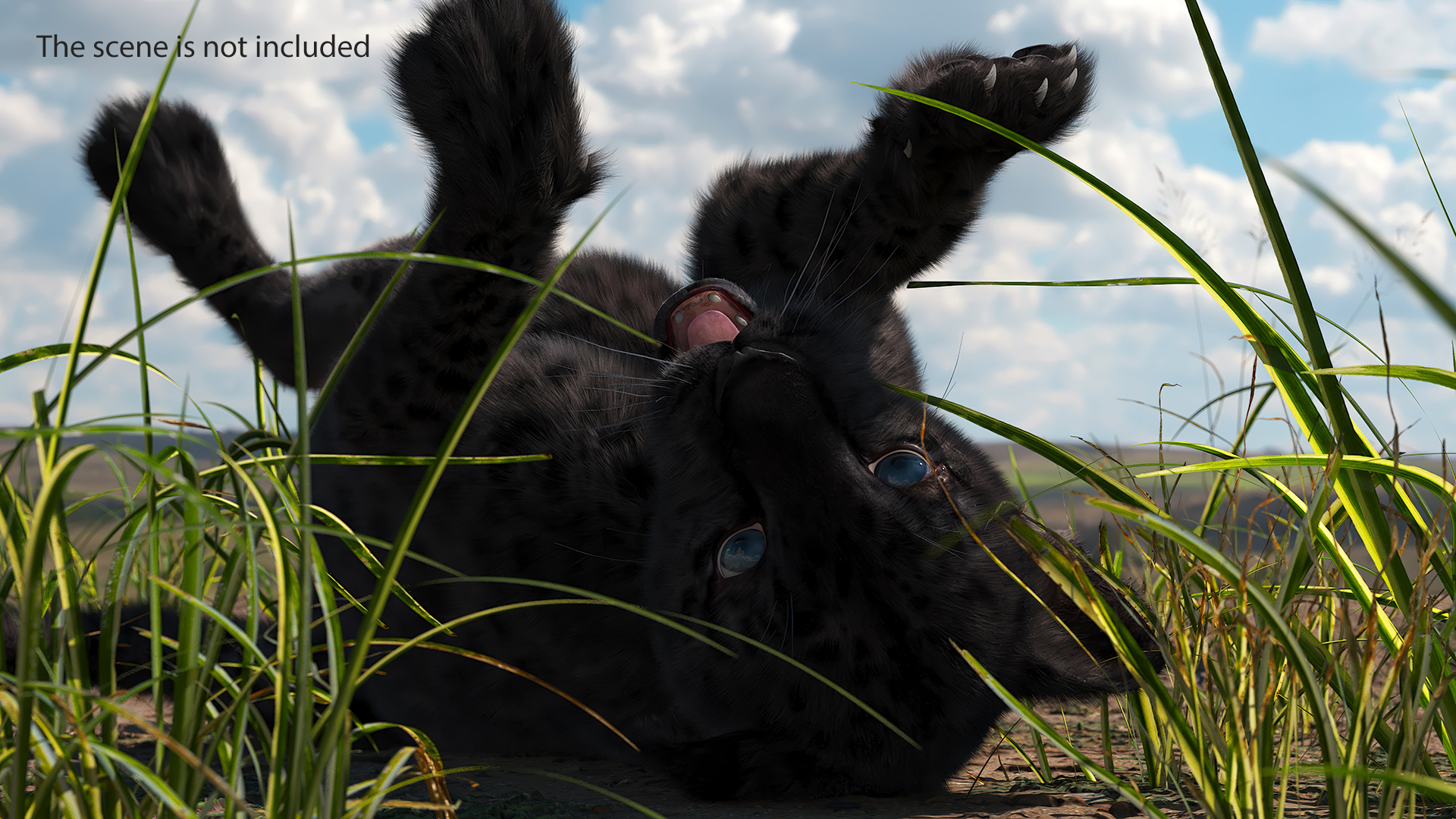 Playful Black Leopard Cub with Butterfly Fur 3D model