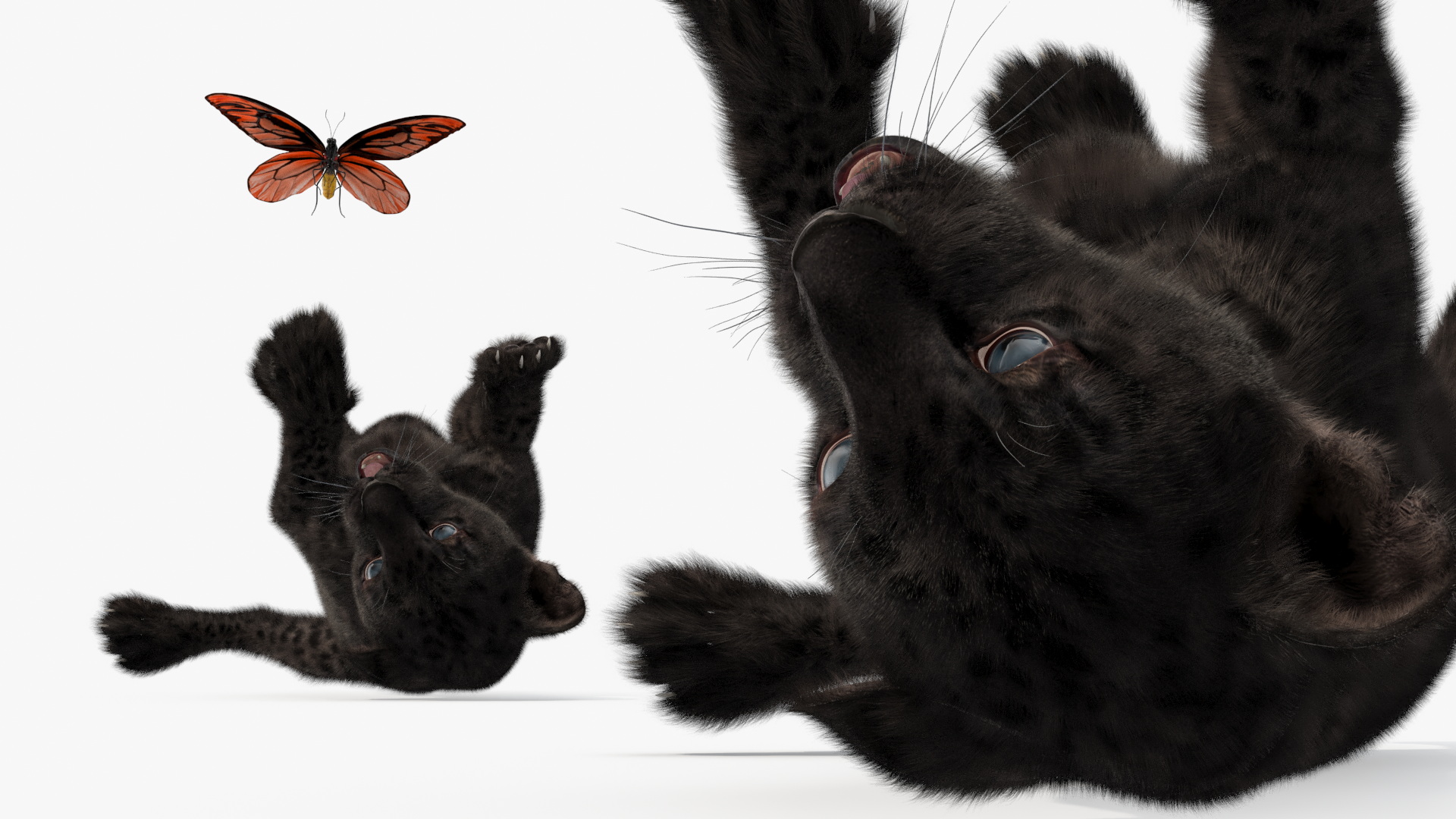 Playful Black Leopard Cub with Butterfly Fur 3D model