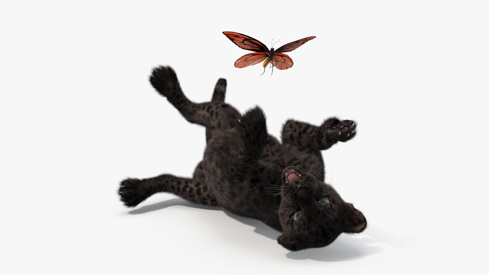 Playful Black Leopard Cub with Butterfly Fur 3D model