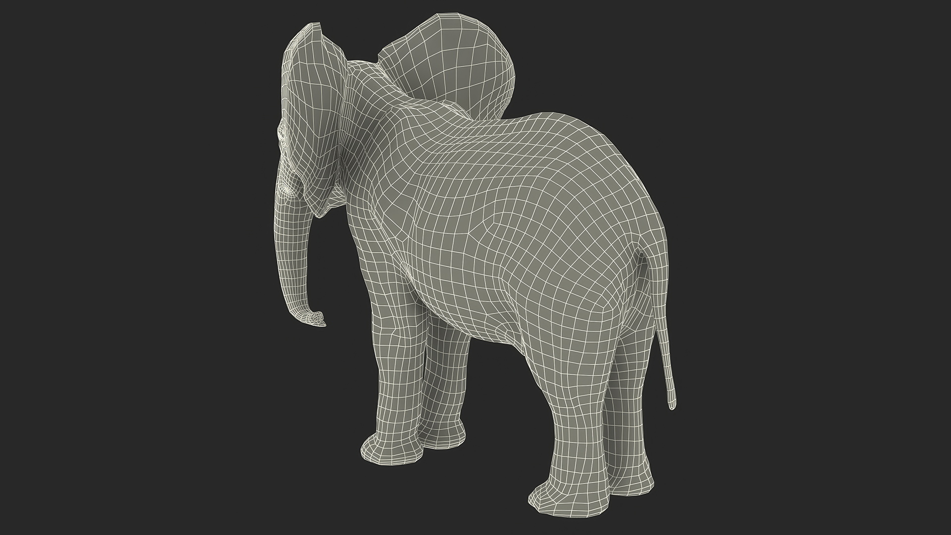 Baby Elephant Fur 3D