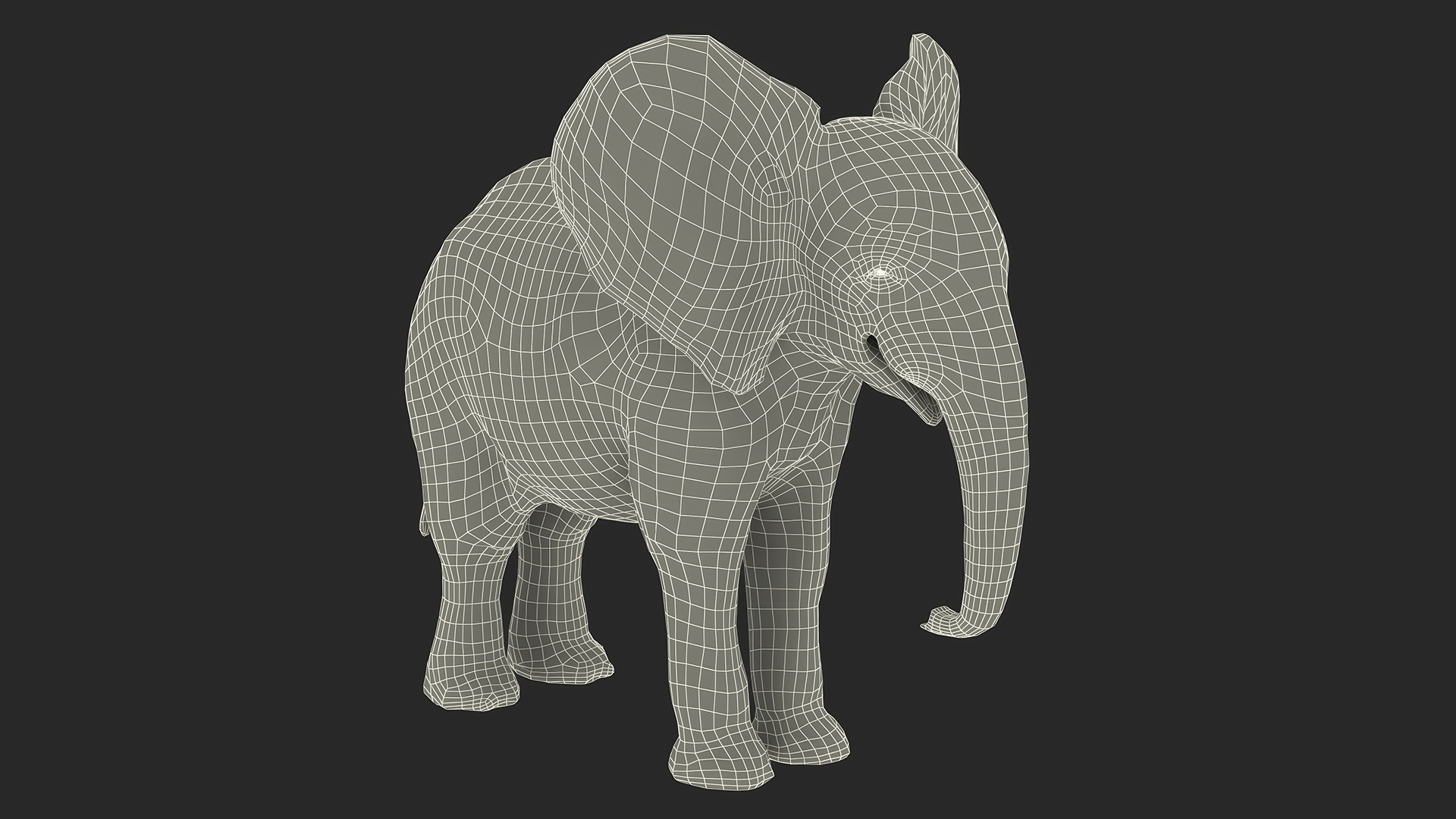 Baby Elephant Fur 3D