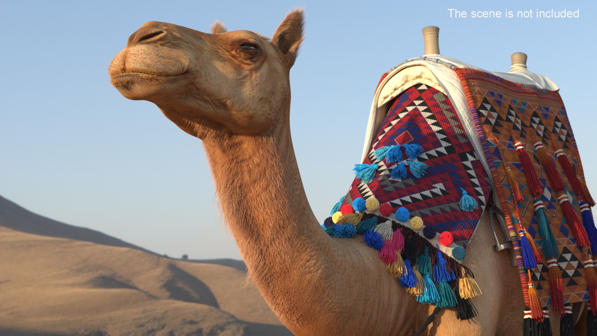 3D Camel with Decorated Saddle Fur Rigged model