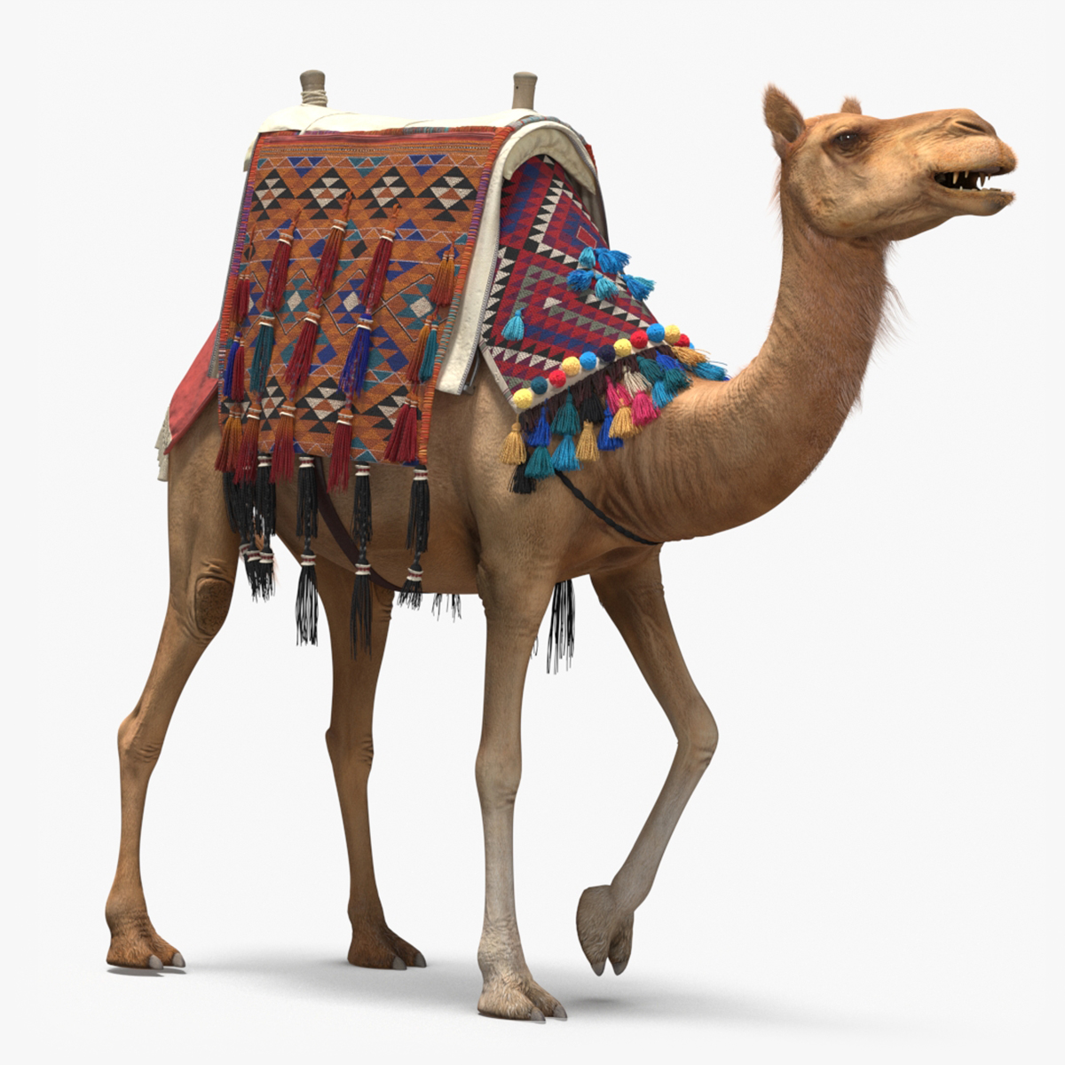 3D Camel with Decorated Saddle Fur Rigged model