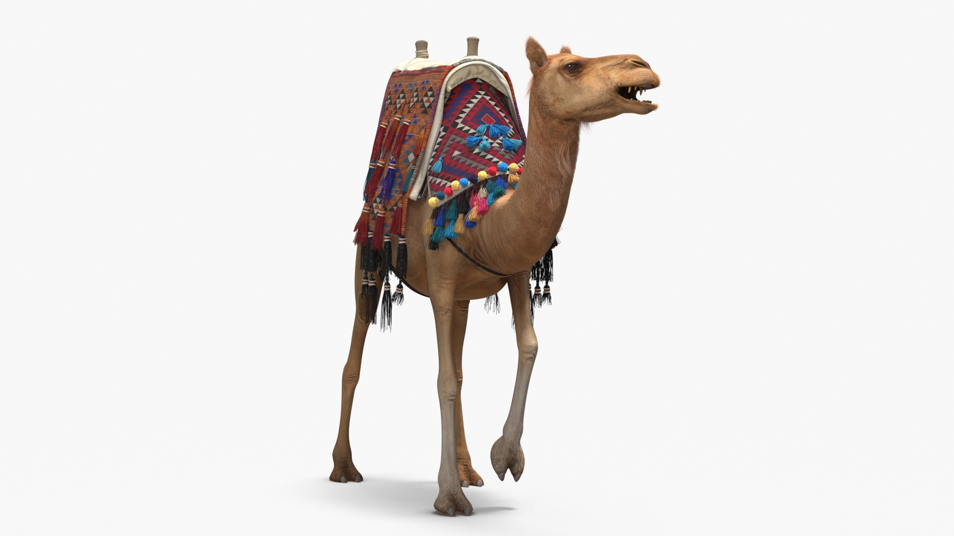 3D Camel with Decorated Saddle Fur Rigged model