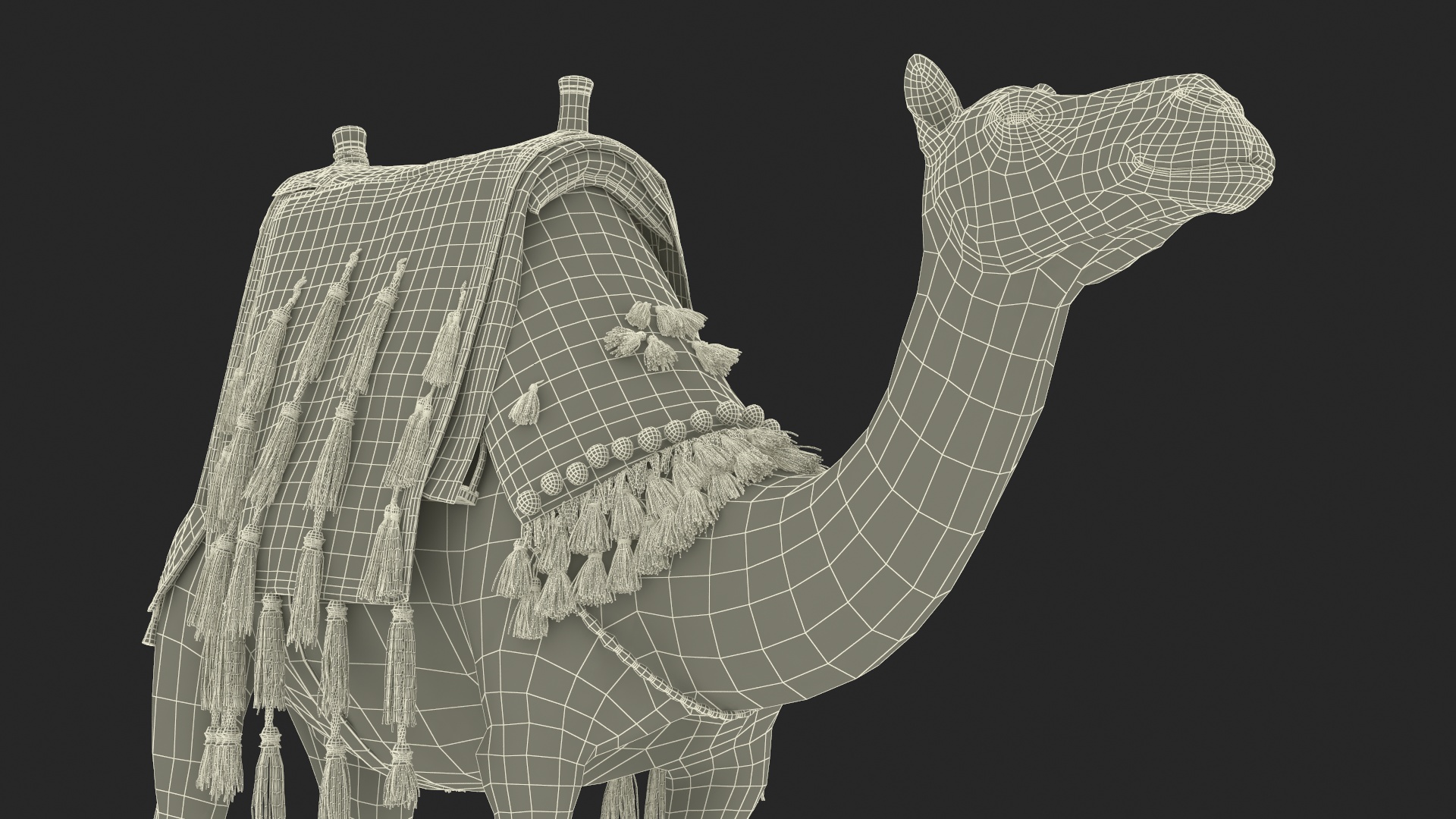 3D Camel with Decorated Saddle Fur Rigged model