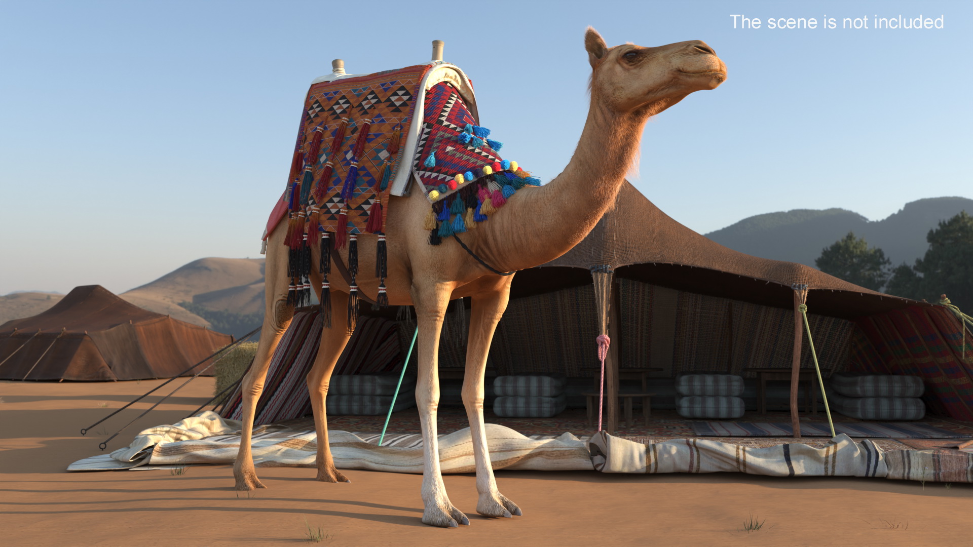 3D Camel with Decorated Saddle Fur Rigged model