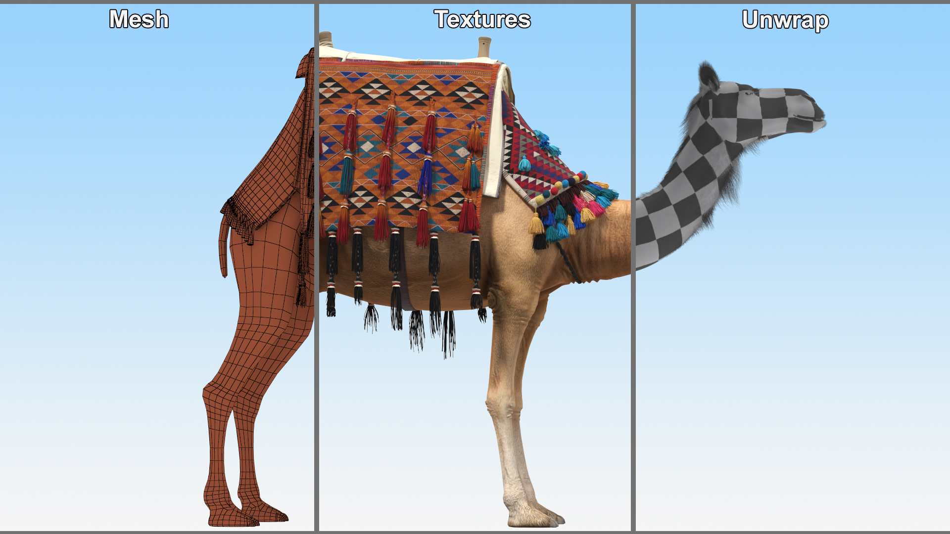 3D Camel with Decorated Saddle Fur Rigged model