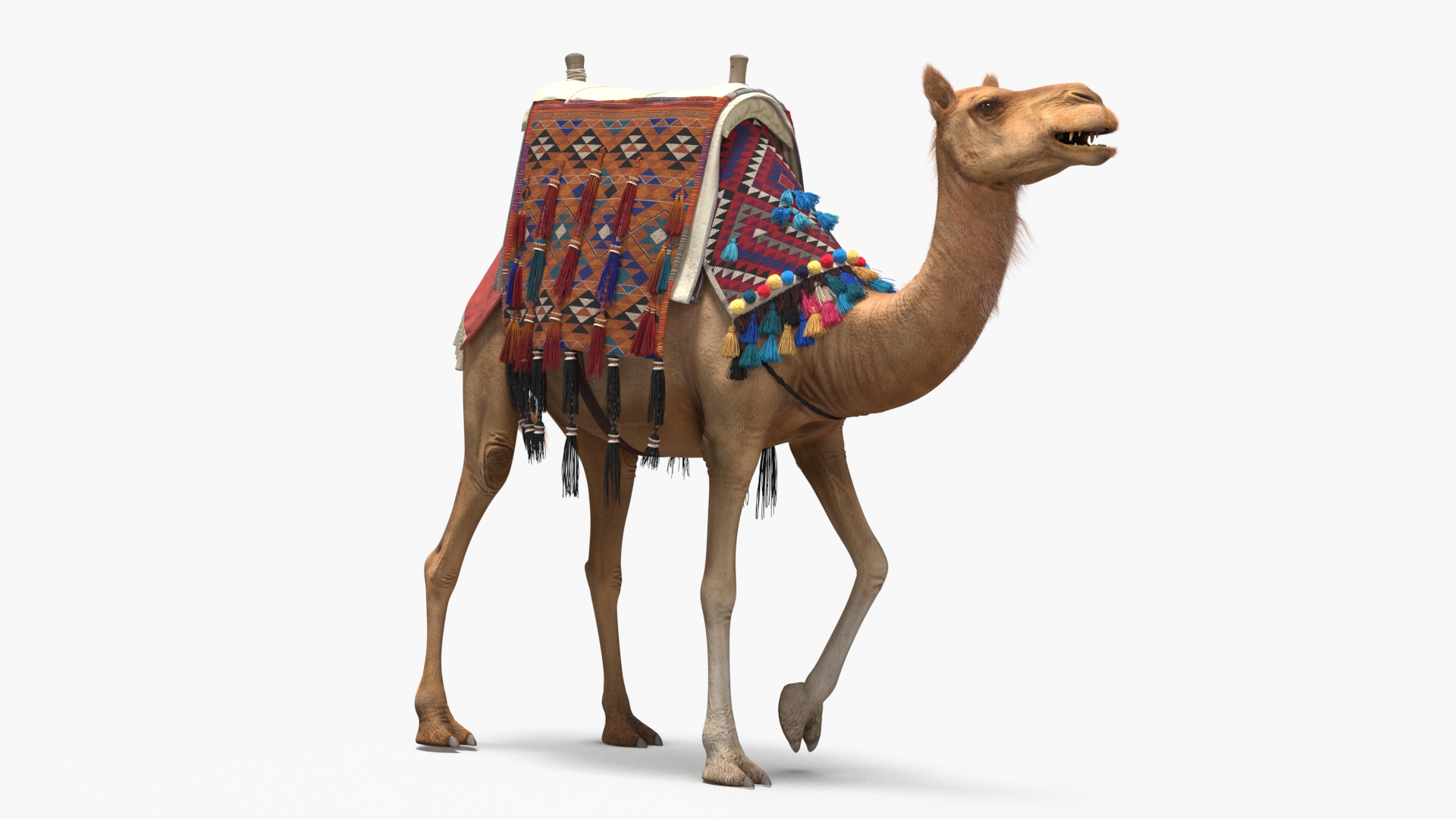 3D Camel with Decorated Saddle Fur Rigged model