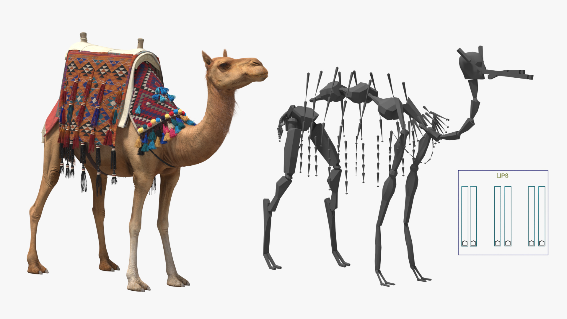 3D Camel with Decorated Saddle Fur Rigged model