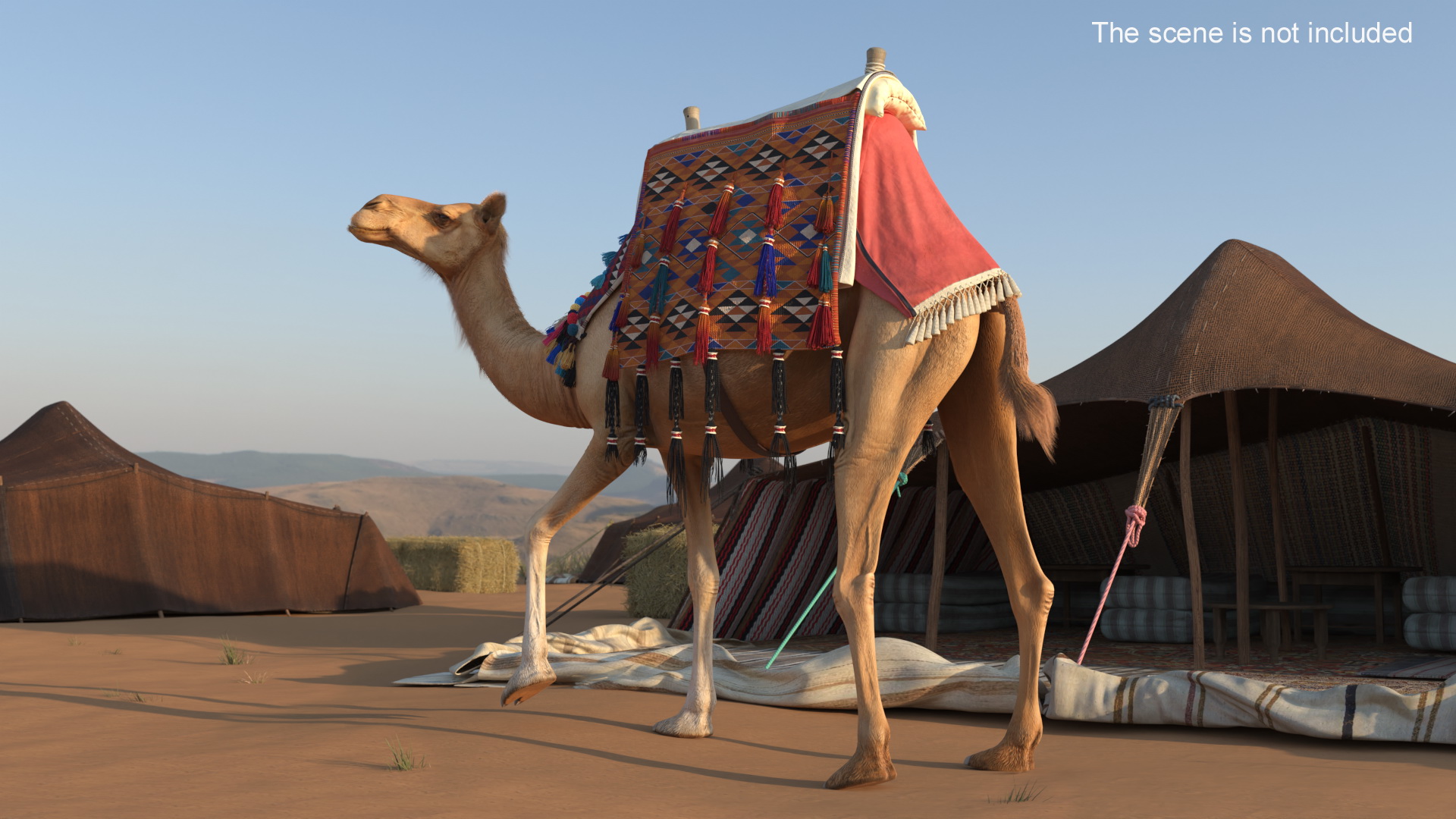 3D Camel with Decorated Saddle Fur Rigged model