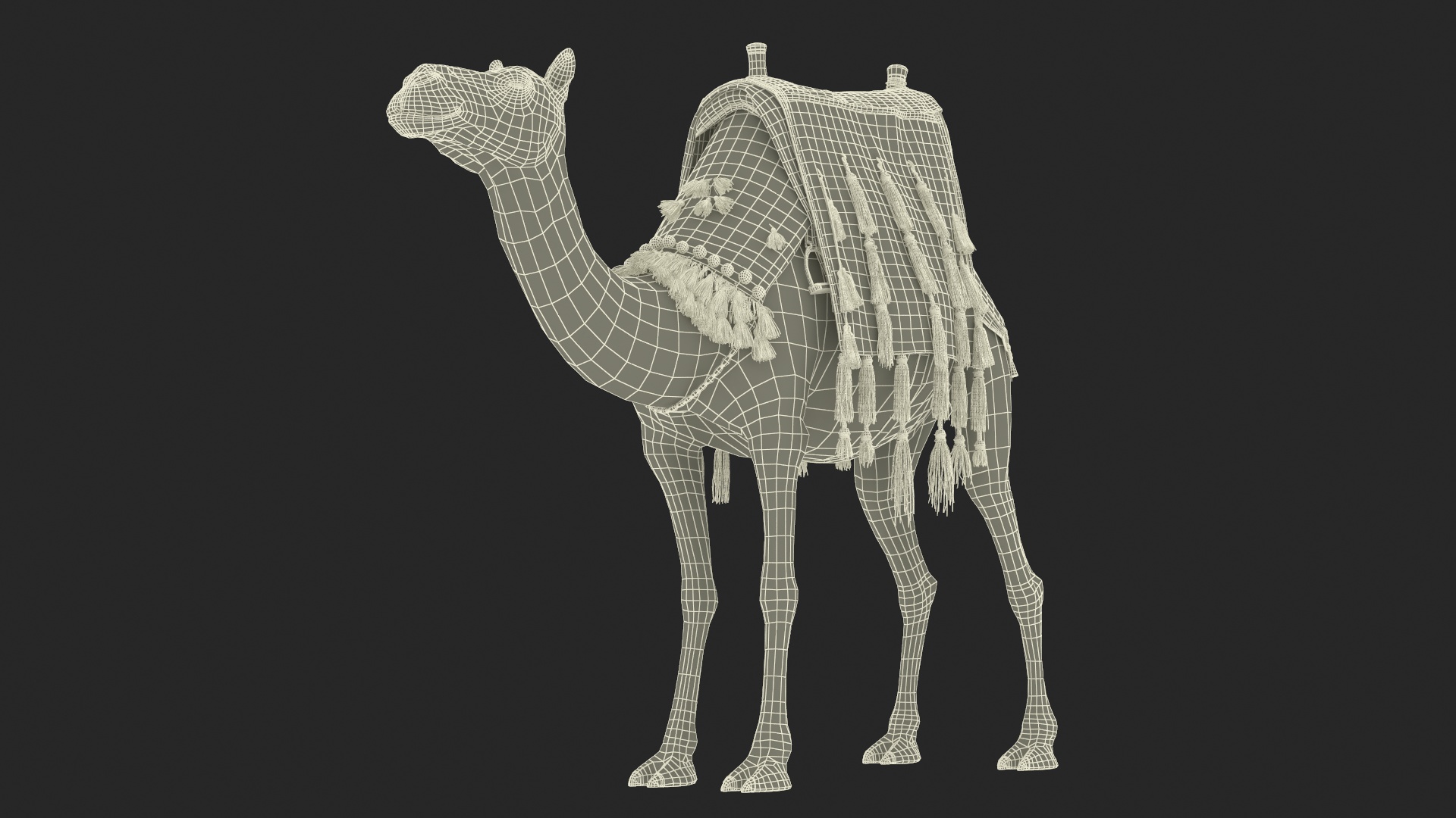 3D Camel with Decorated Saddle Fur Rigged model