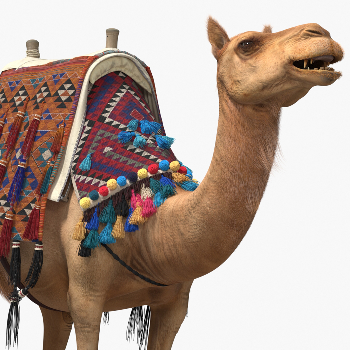 3D Camel with Decorated Saddle Fur Rigged model