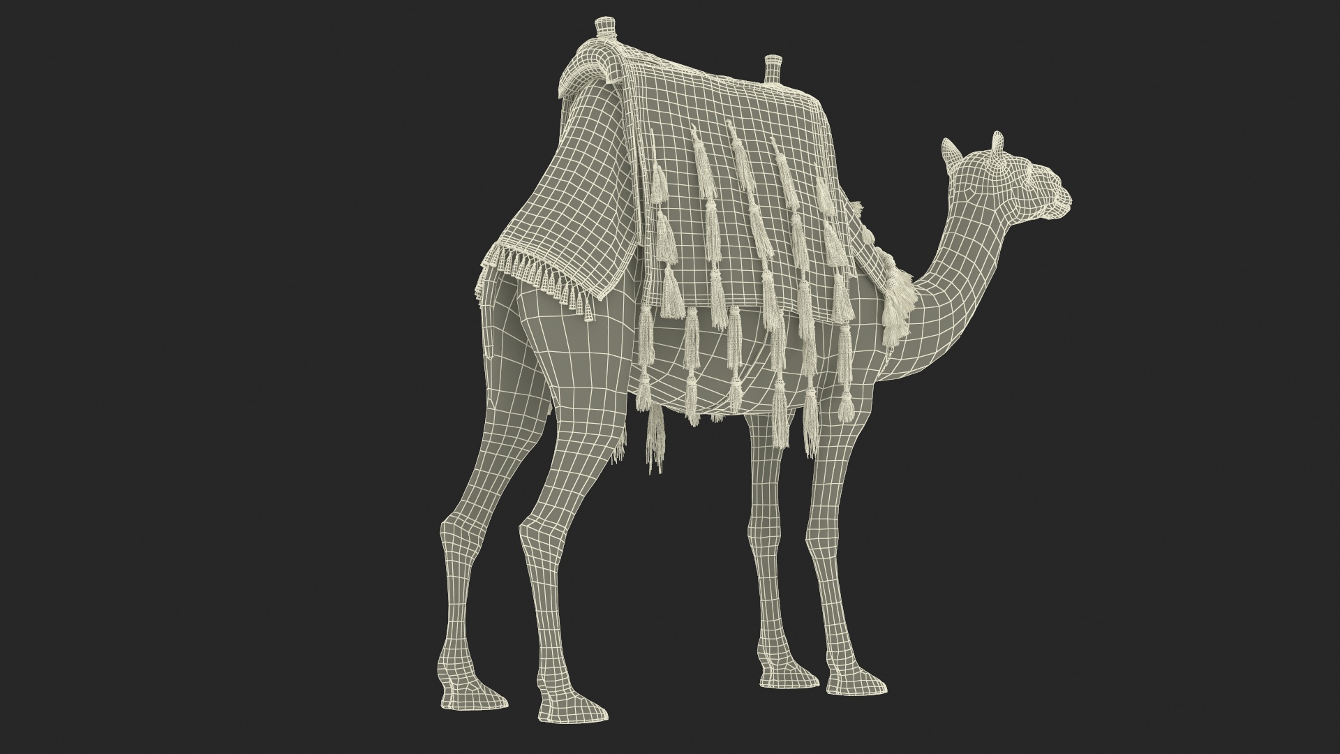 3D Camel with Decorated Saddle Fur Rigged model