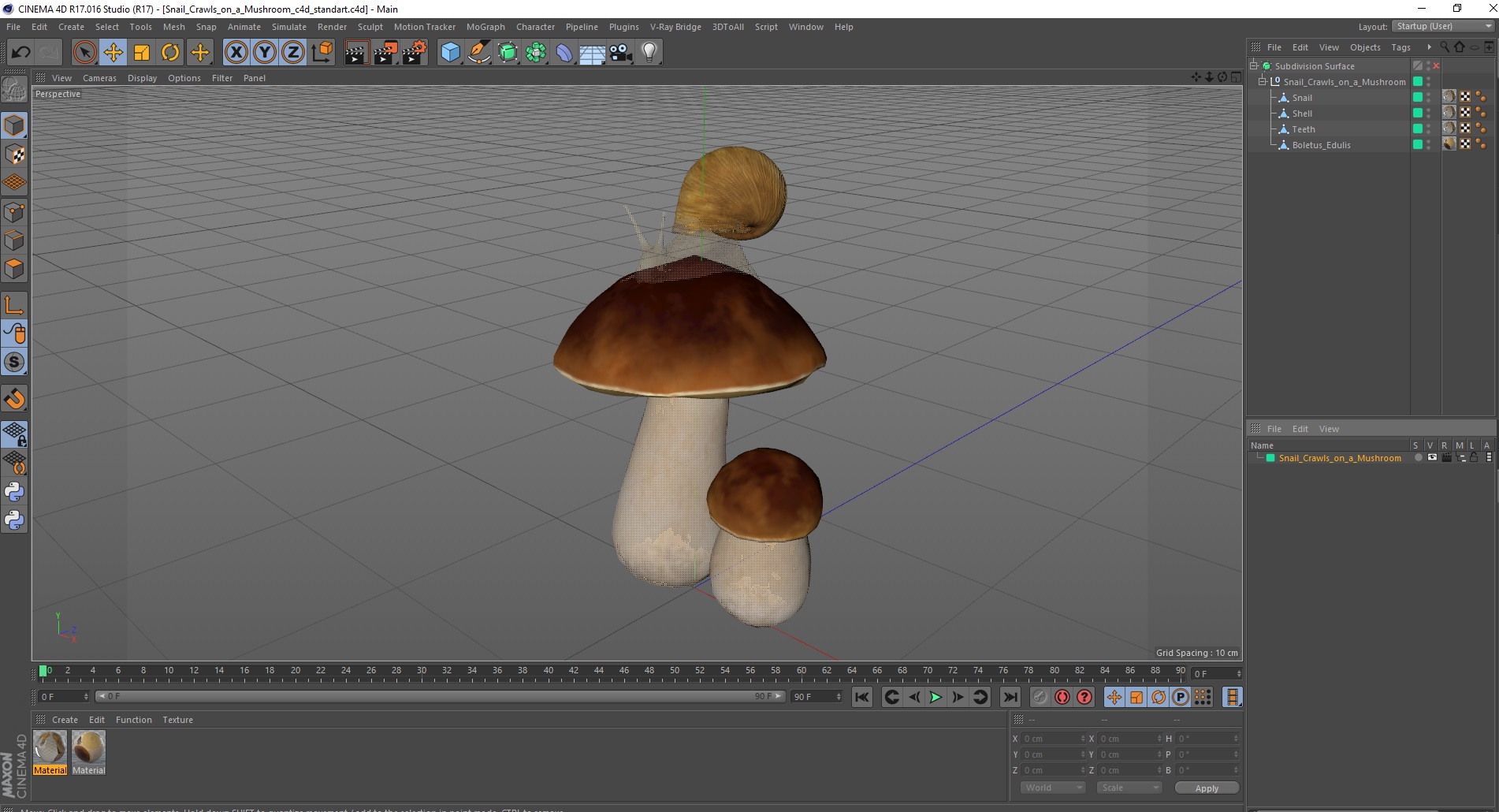 3D Snail Crawls on a Mushroom