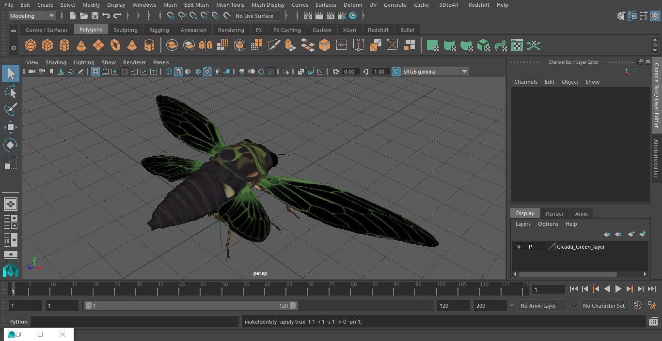 3D model Cicada