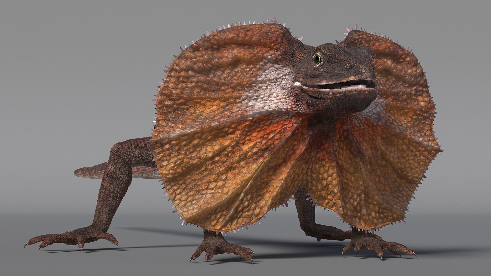 3D Frillneck Lizard Rigged model