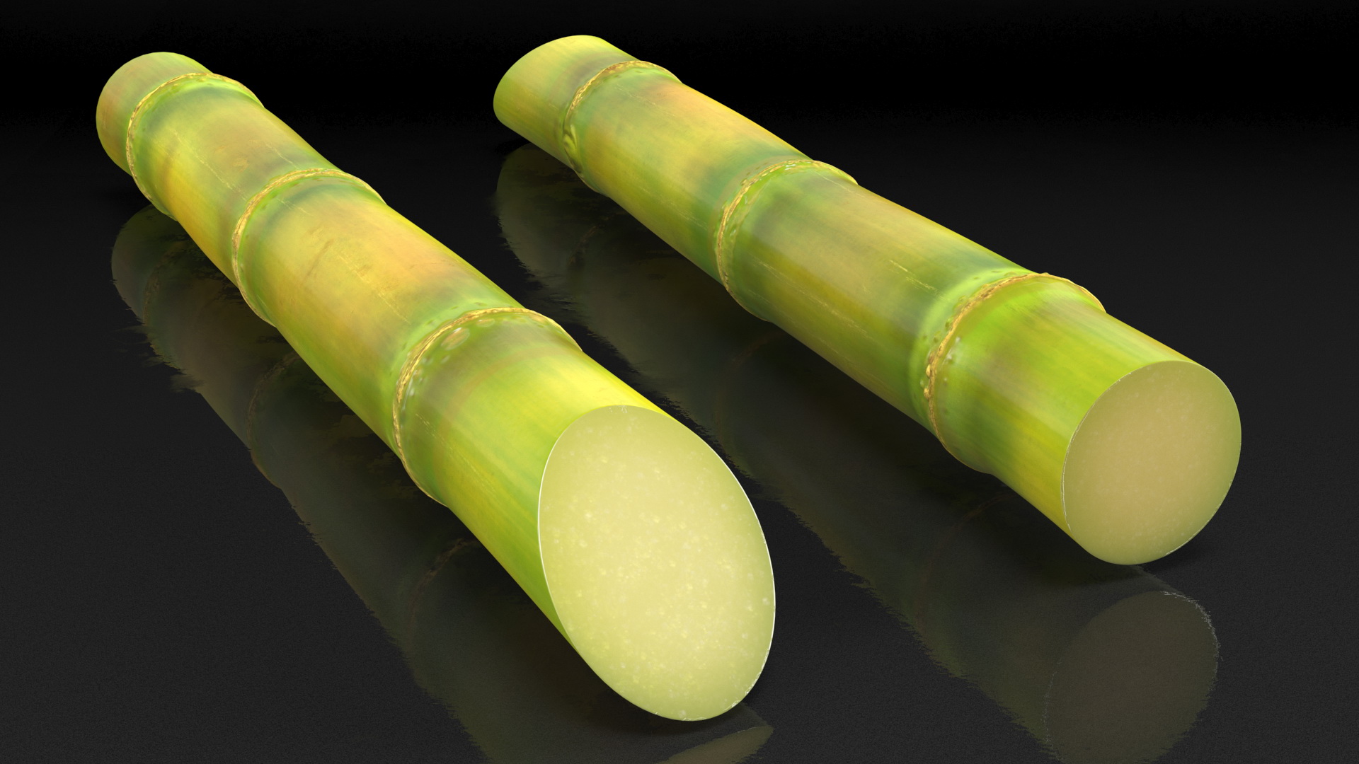 3D Sugar Cane Stick