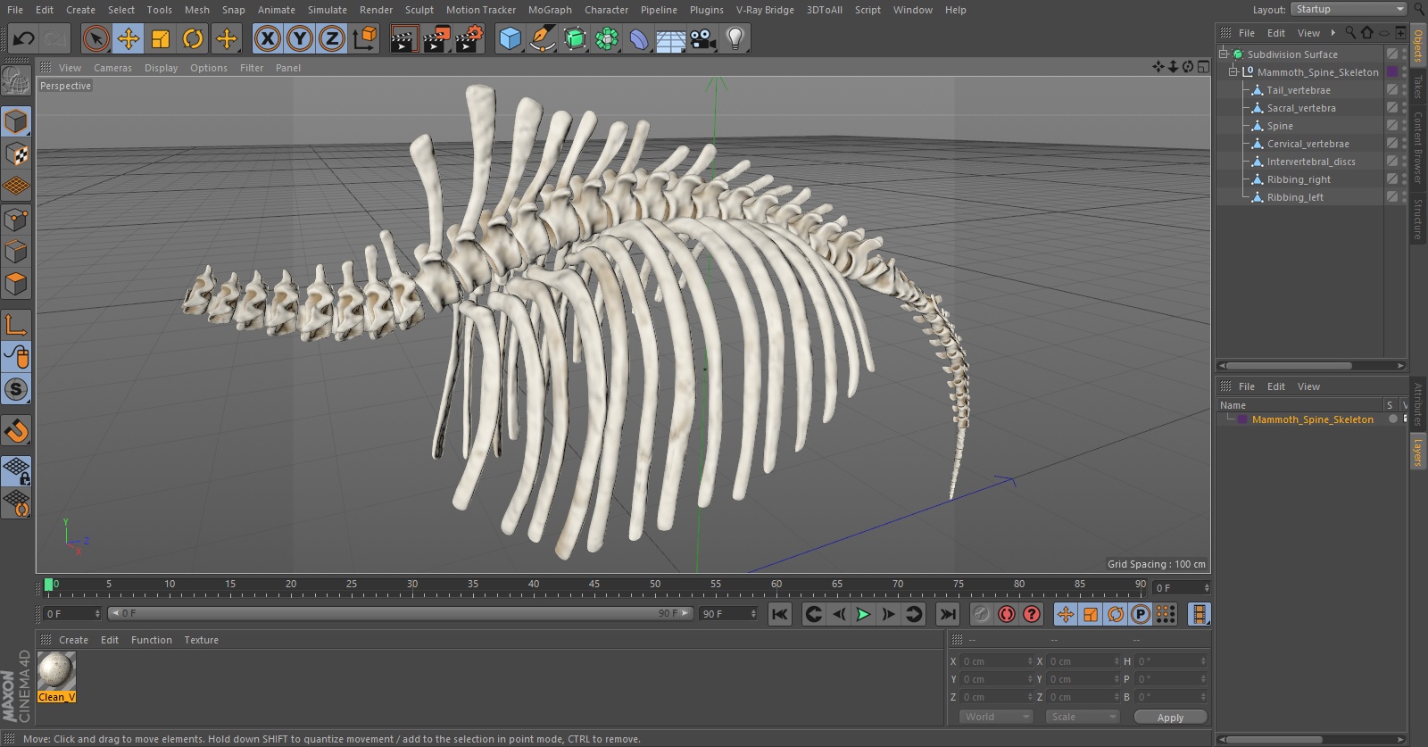 Mammoth Spine Skeleton 3D