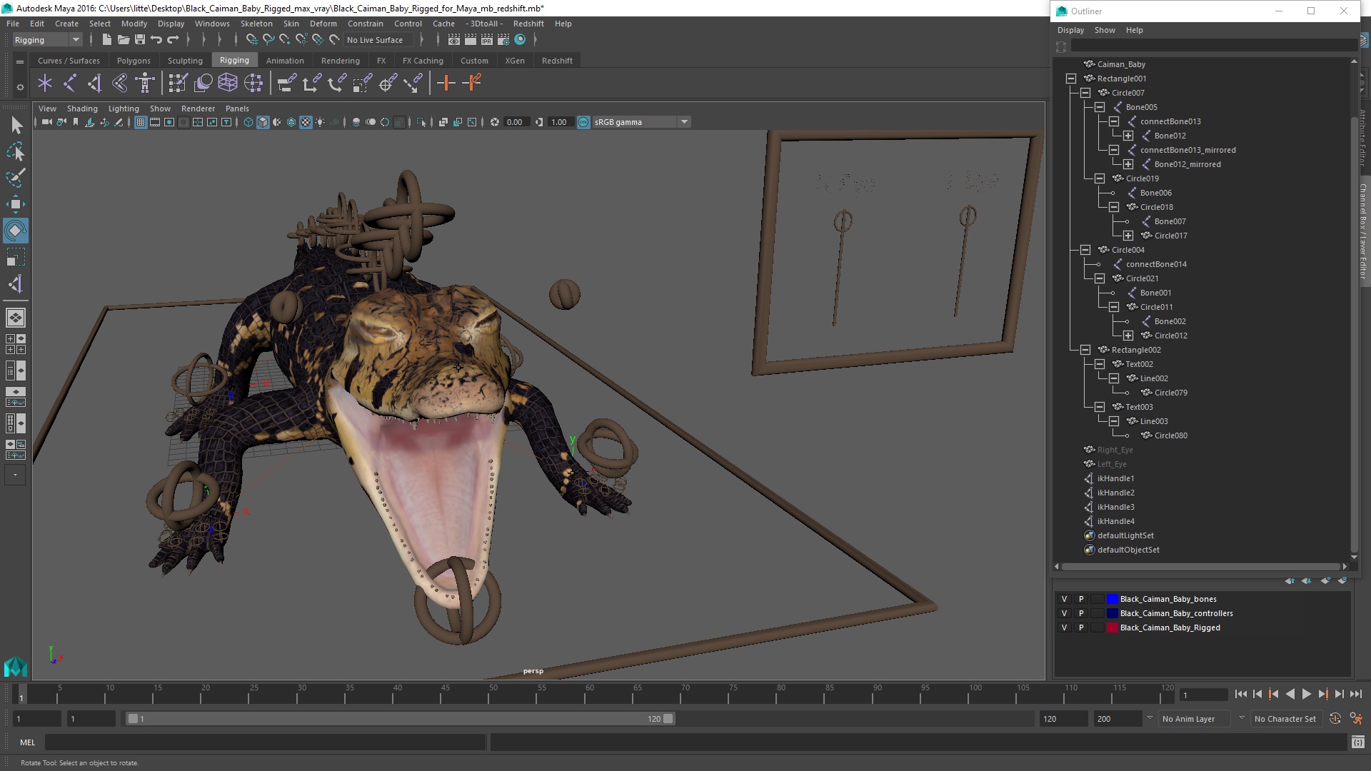 3D Black Caiman Baby Rigged for Maya model