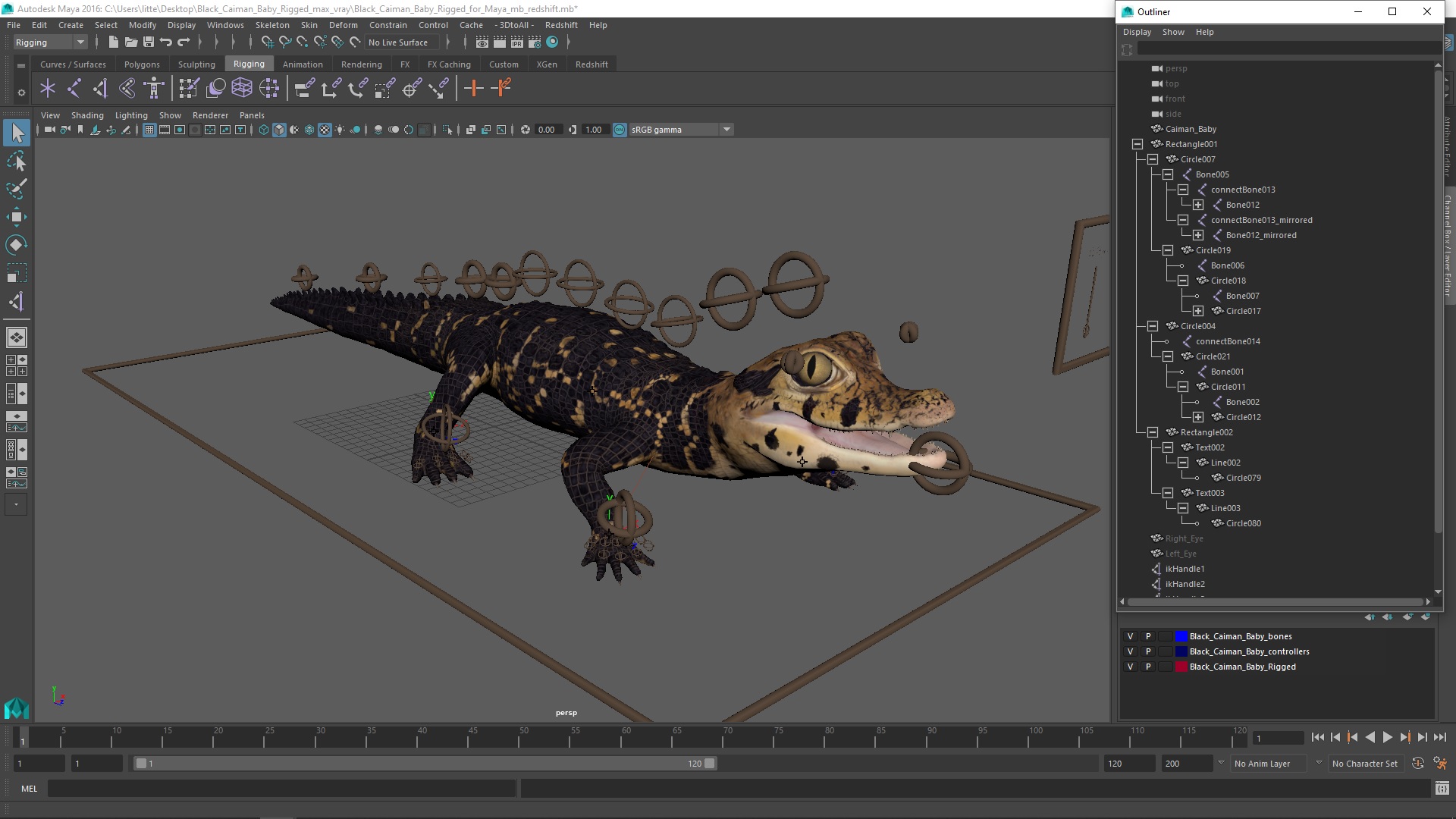 3D Black Caiman Baby Rigged for Maya model