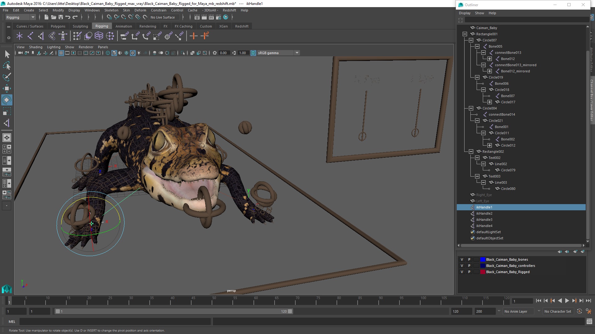 3D Black Caiman Baby Rigged for Maya model