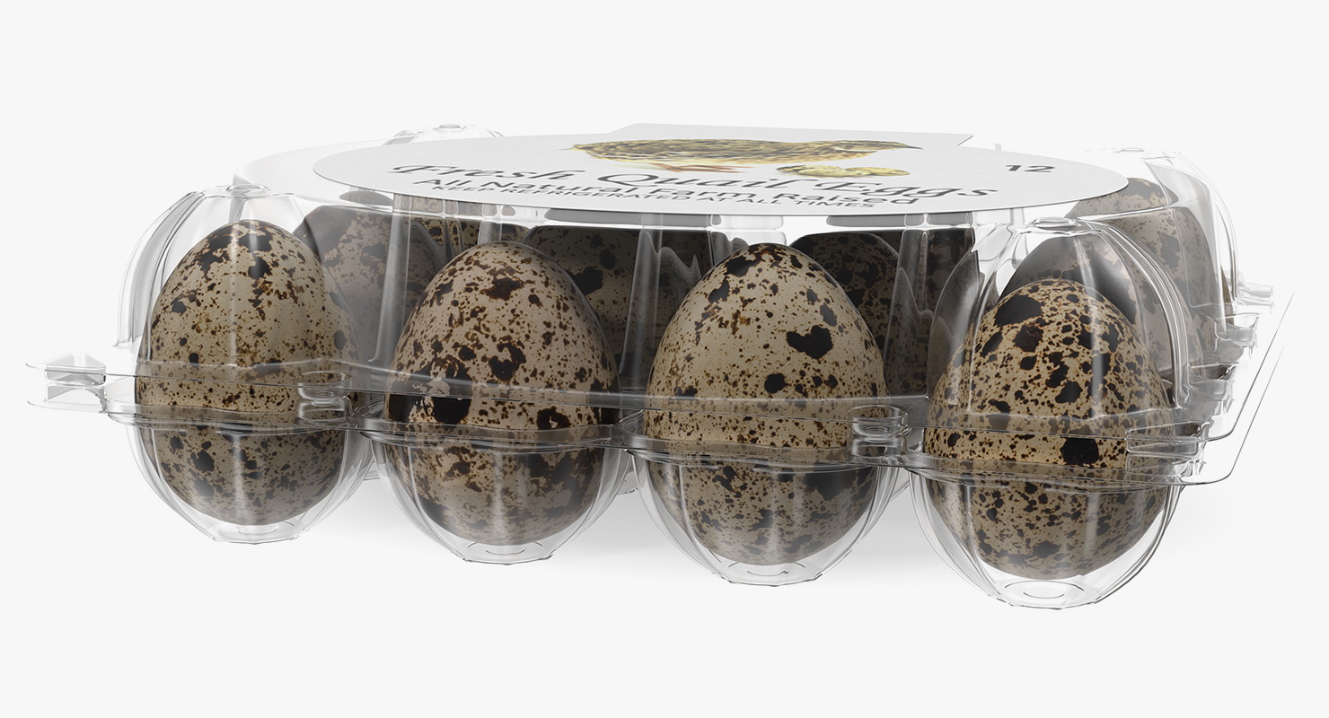 Quail Eggs Plastic Box 3D