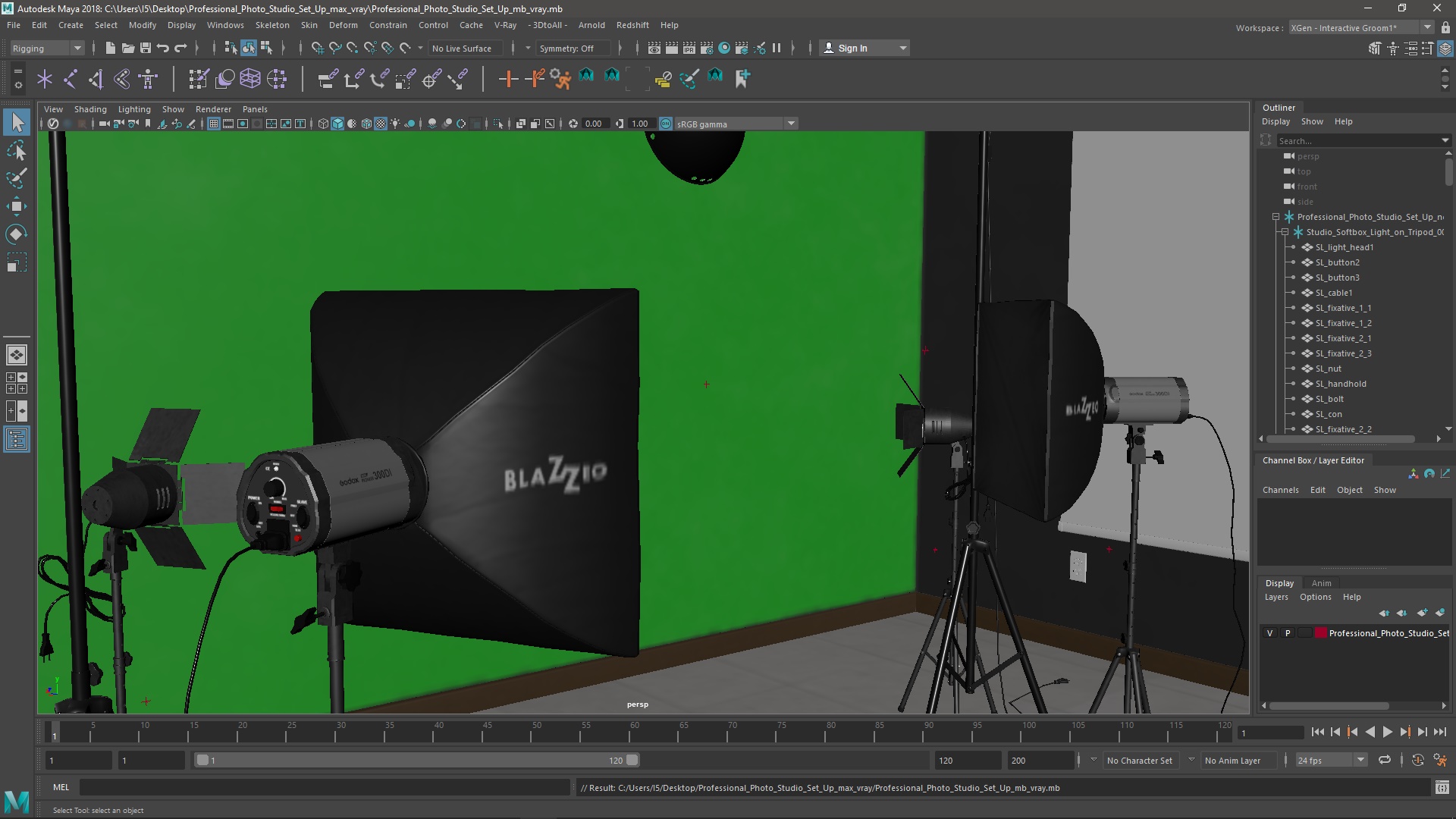 Professional Photo Studio Set Up 3D