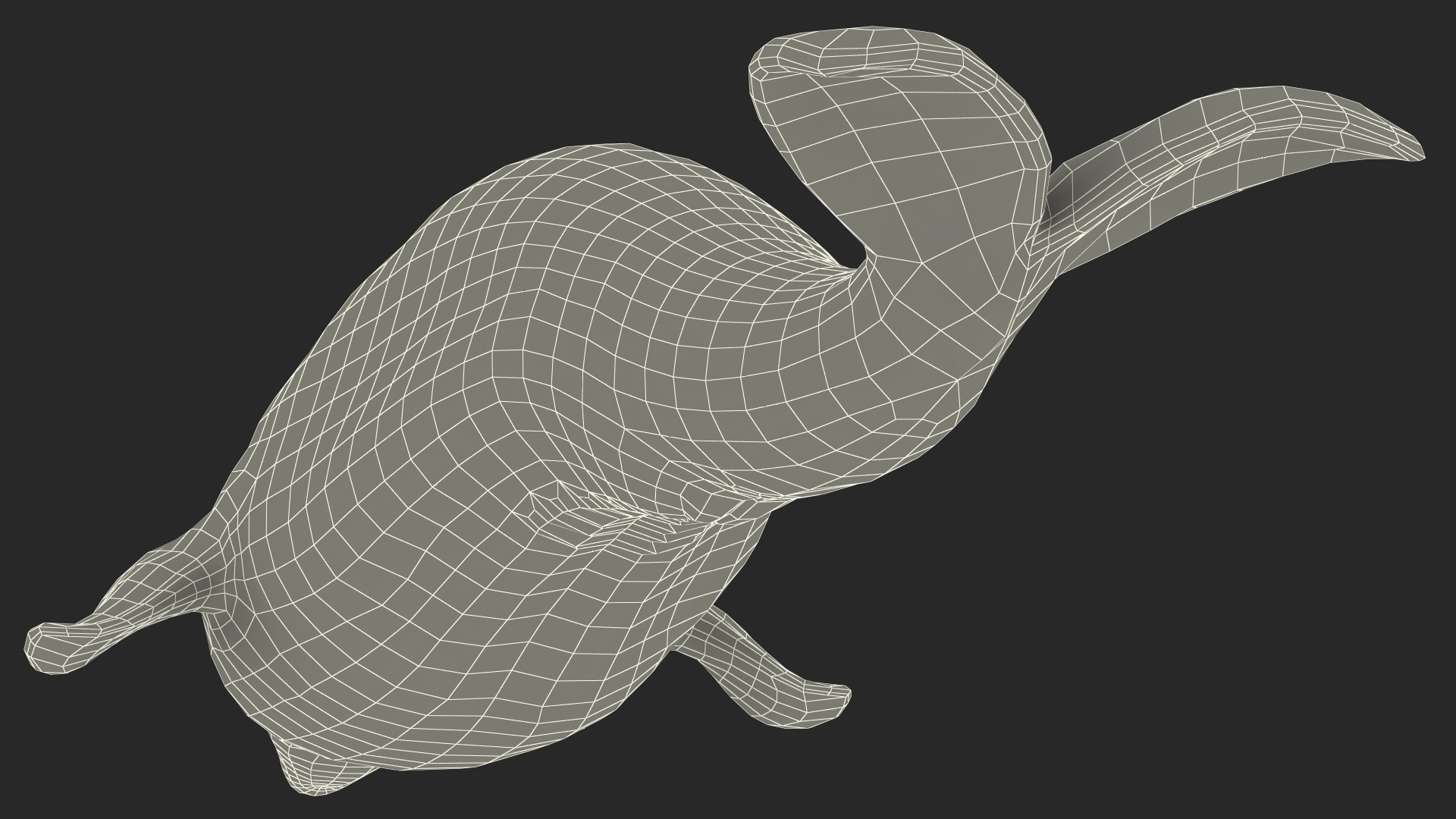 3D model Beluga Whale Young Rigged