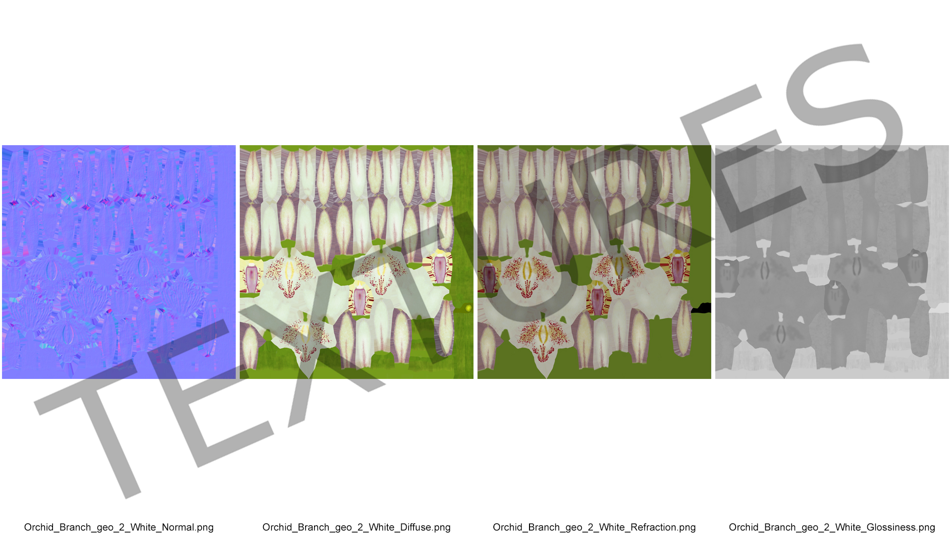 3D White Orchid Branch Fur model