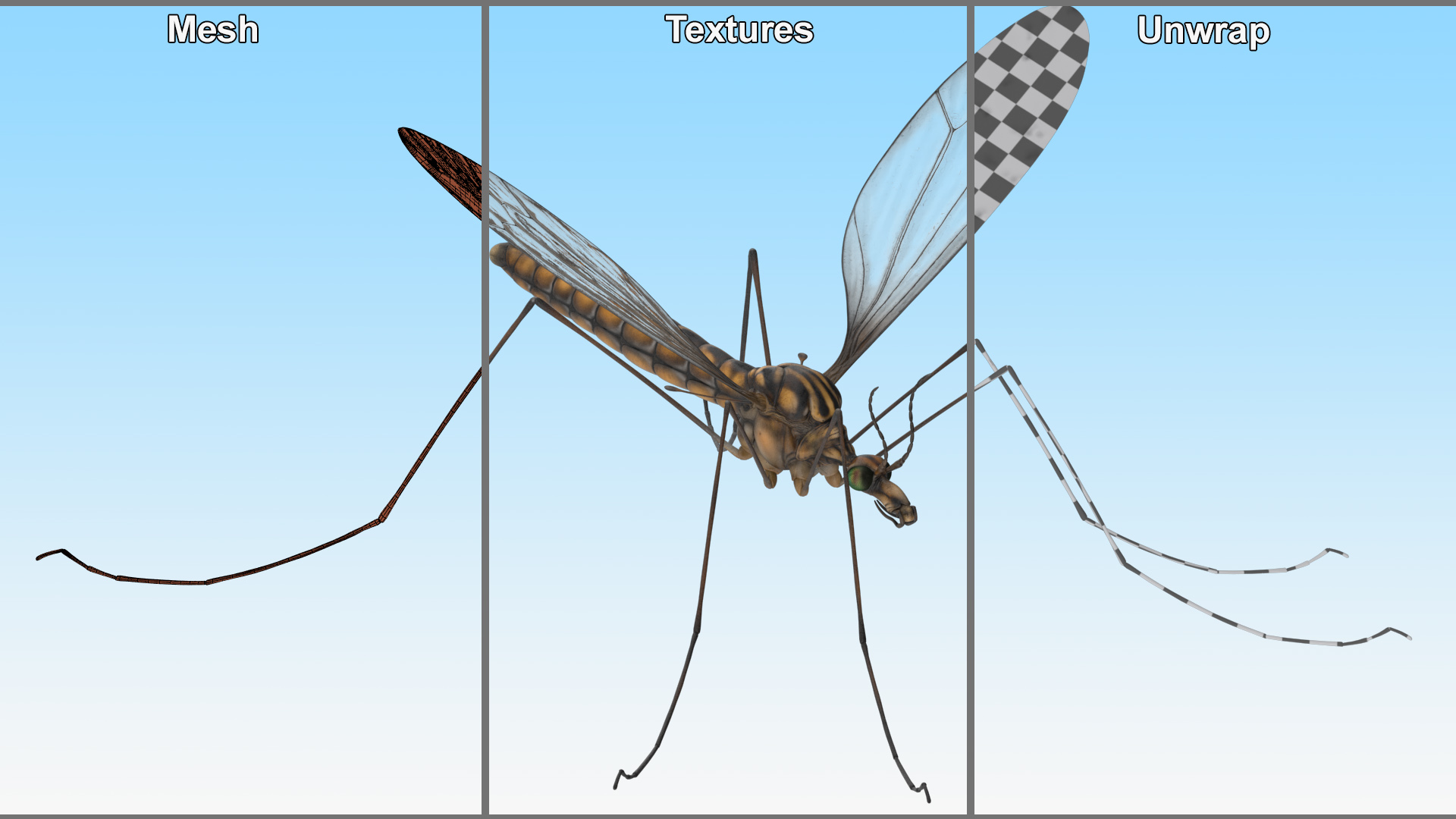 Crane Fly Mosquito Fur 3D