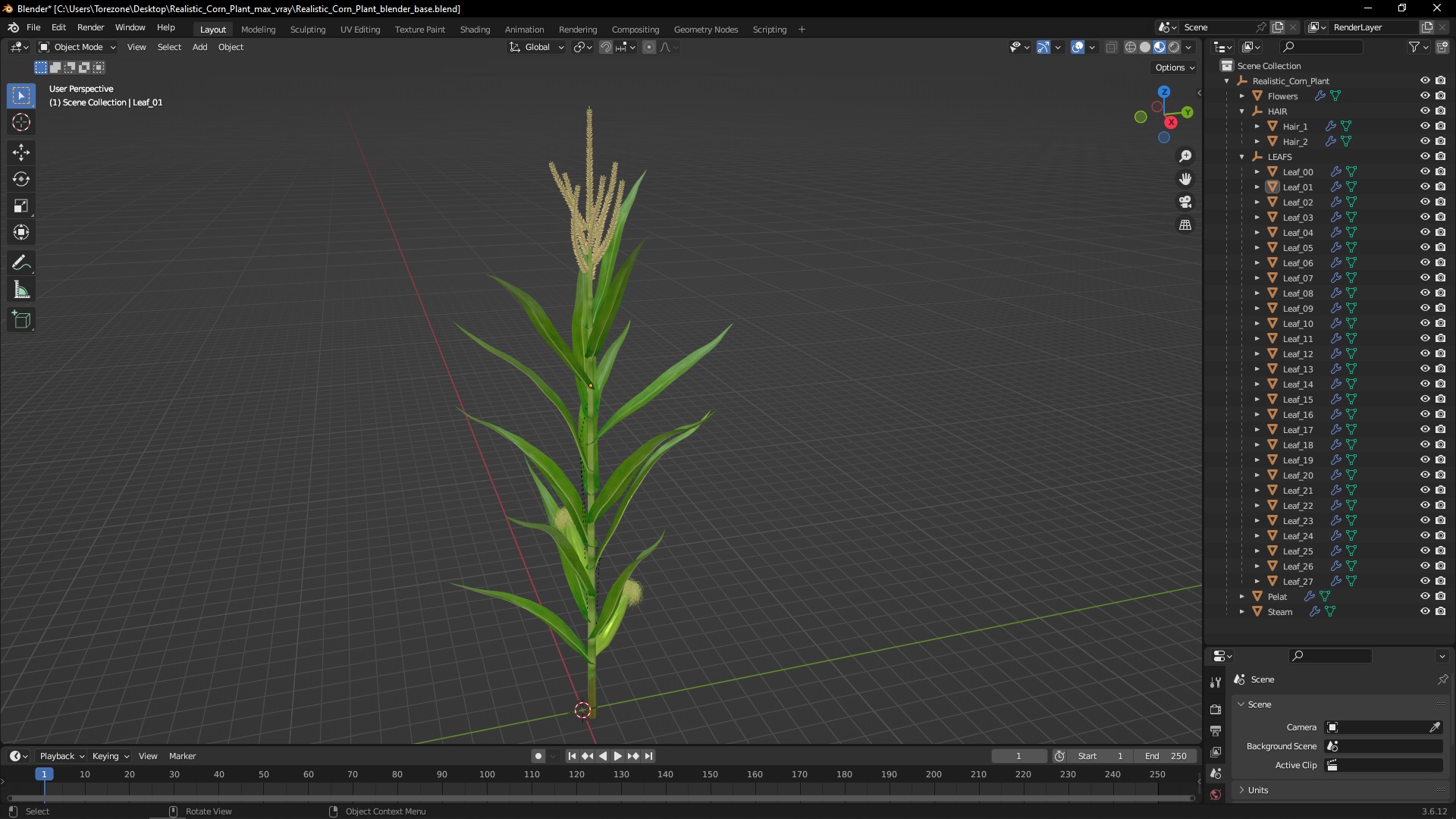 3D model Realistic Corn Plant