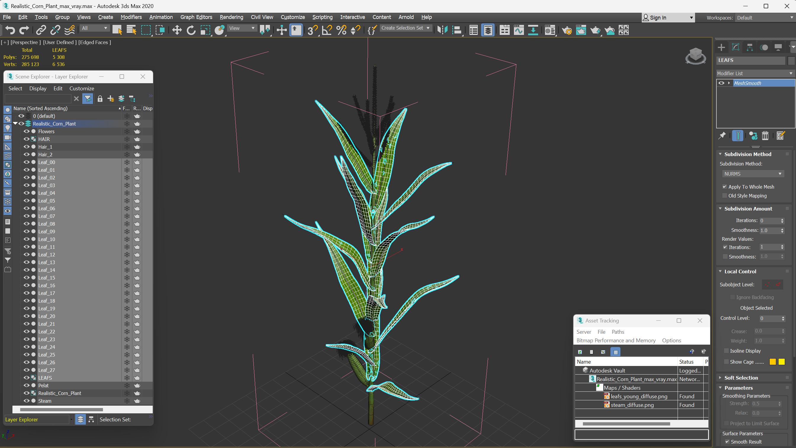 3D model Realistic Corn Plant