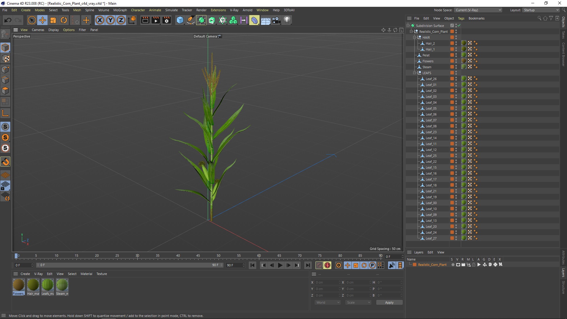 3D model Realistic Corn Plant