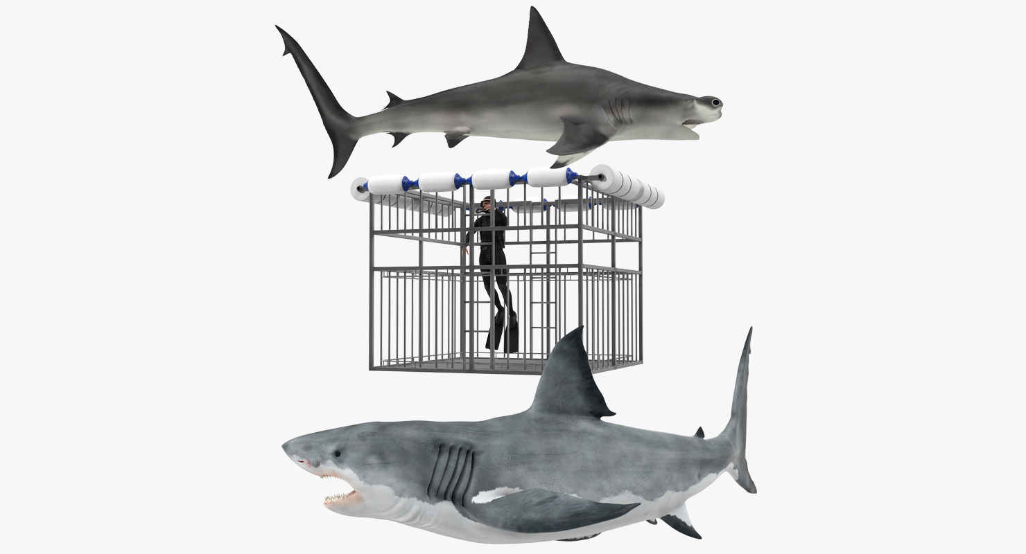 Shark Cage Diving Rigged 3D model