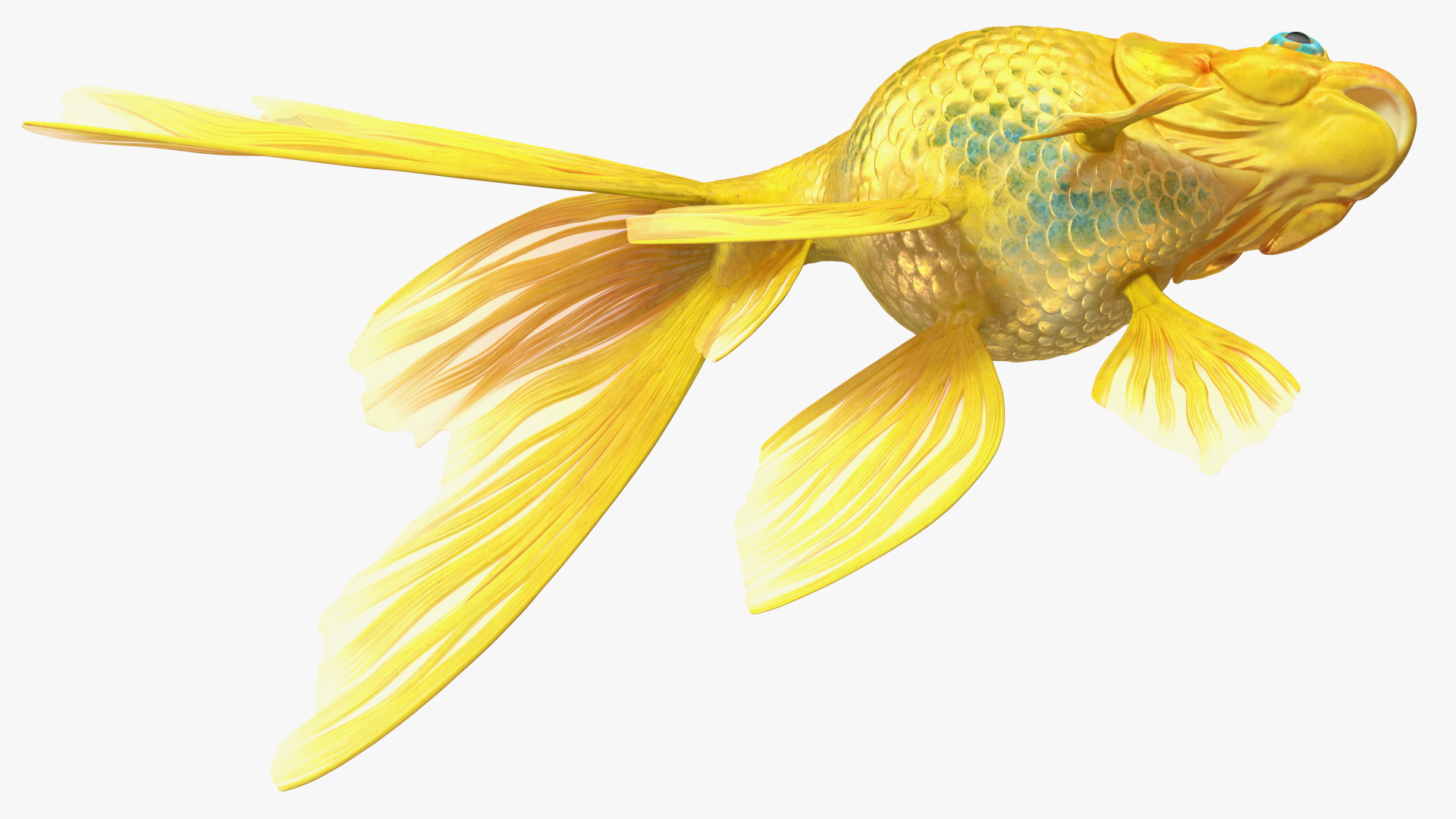 3D model Goldfish