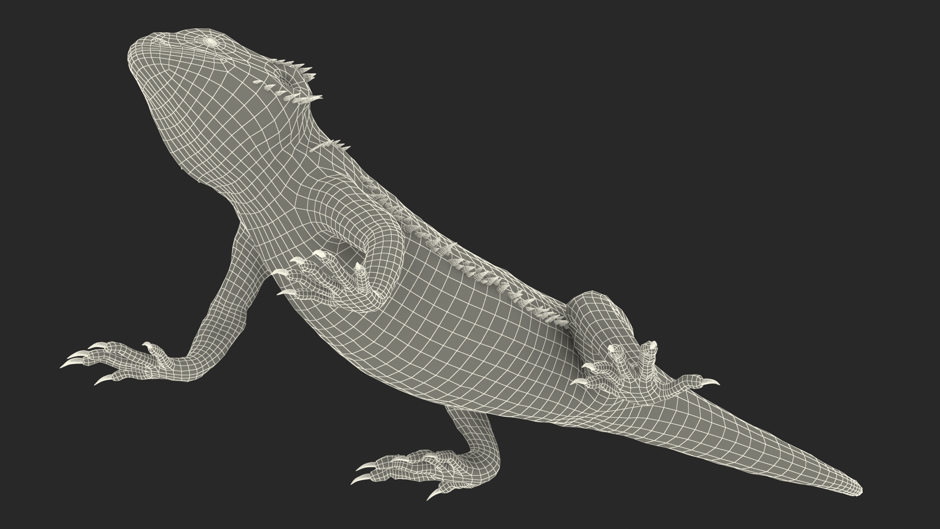 Realistic Bearded Dragon 3D model