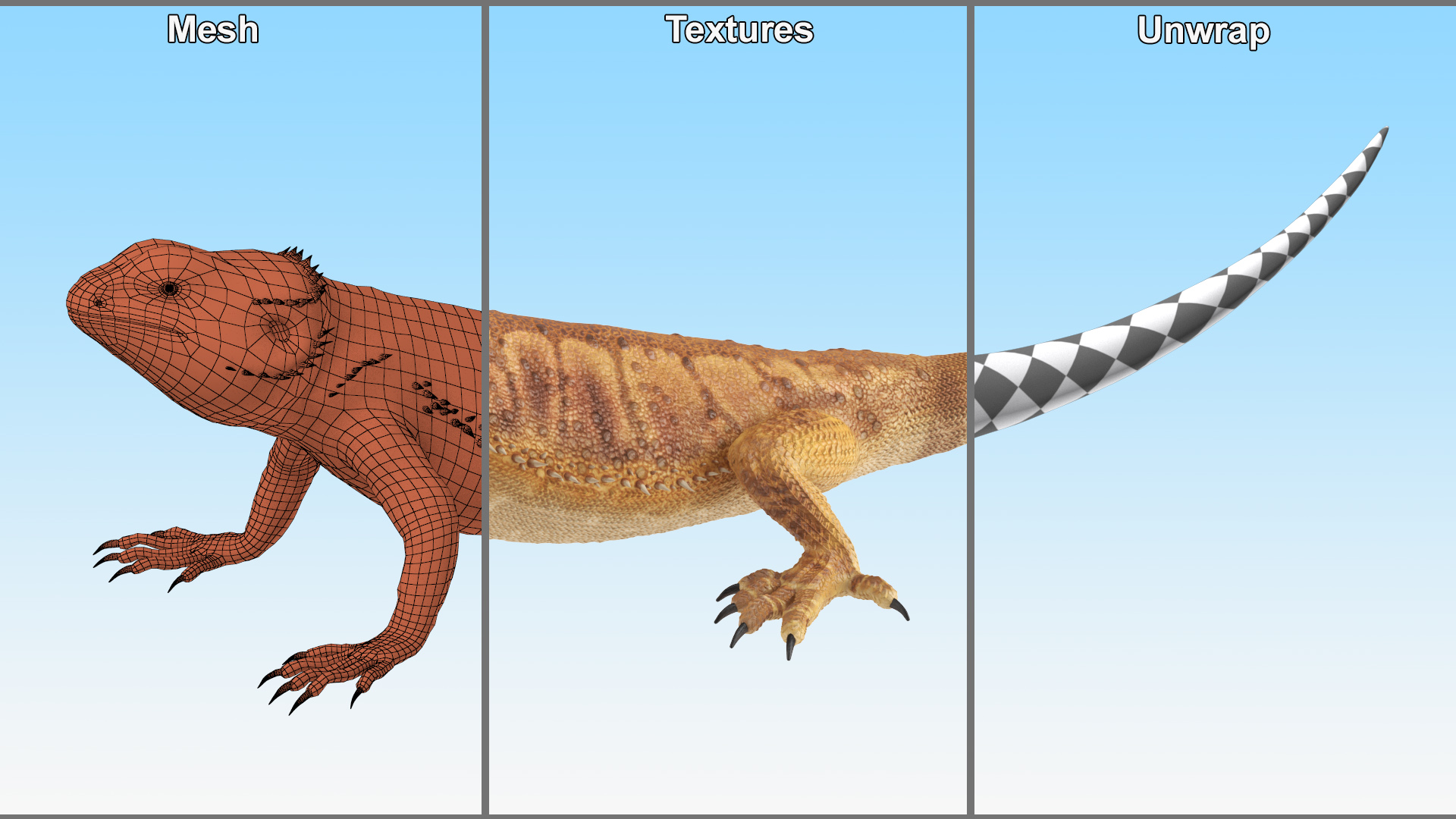 Realistic Bearded Dragon 3D model