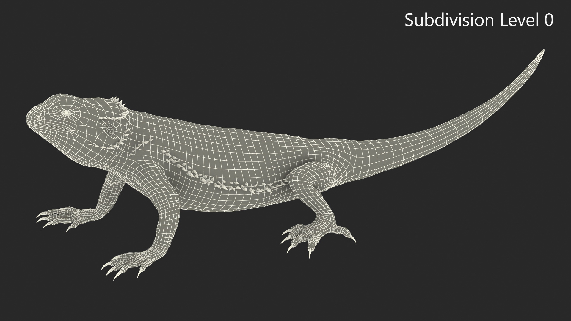 Realistic Bearded Dragon 3D model