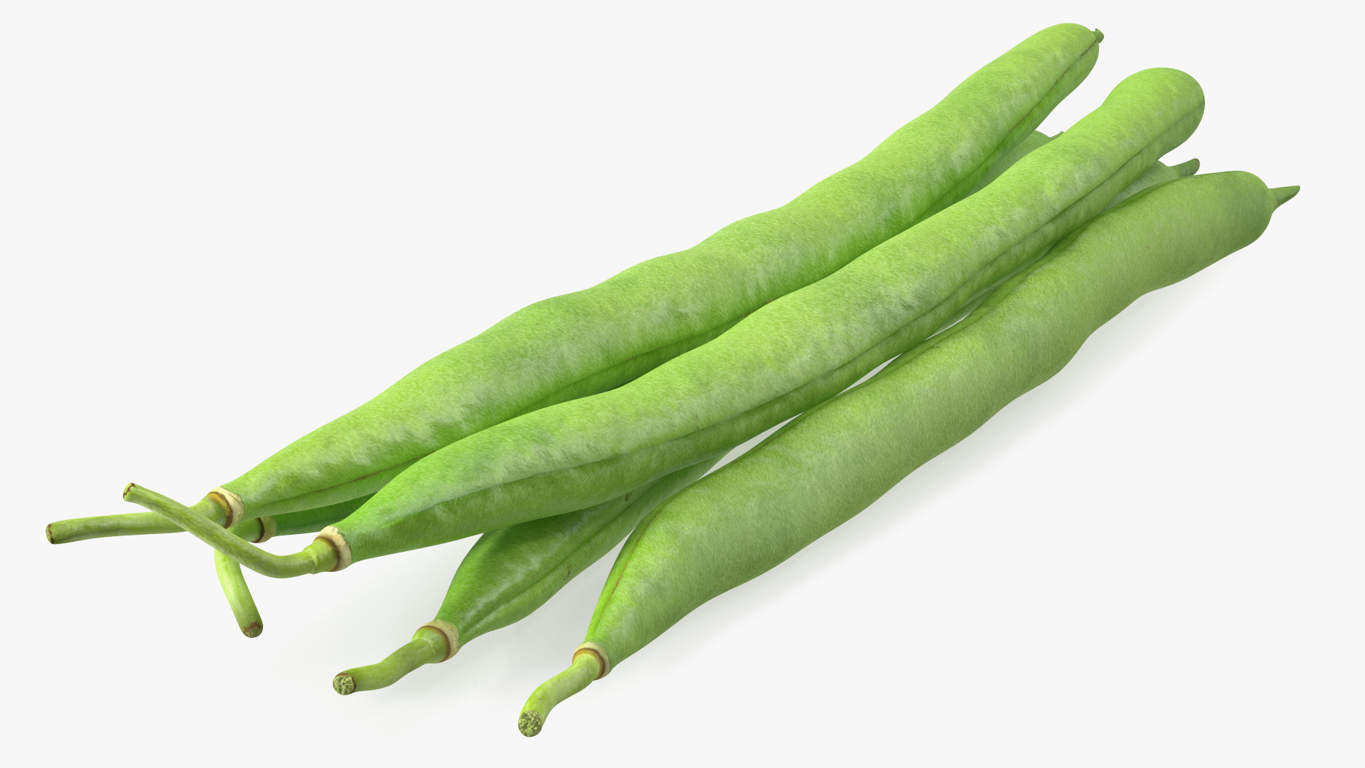 3D Green French Beans model