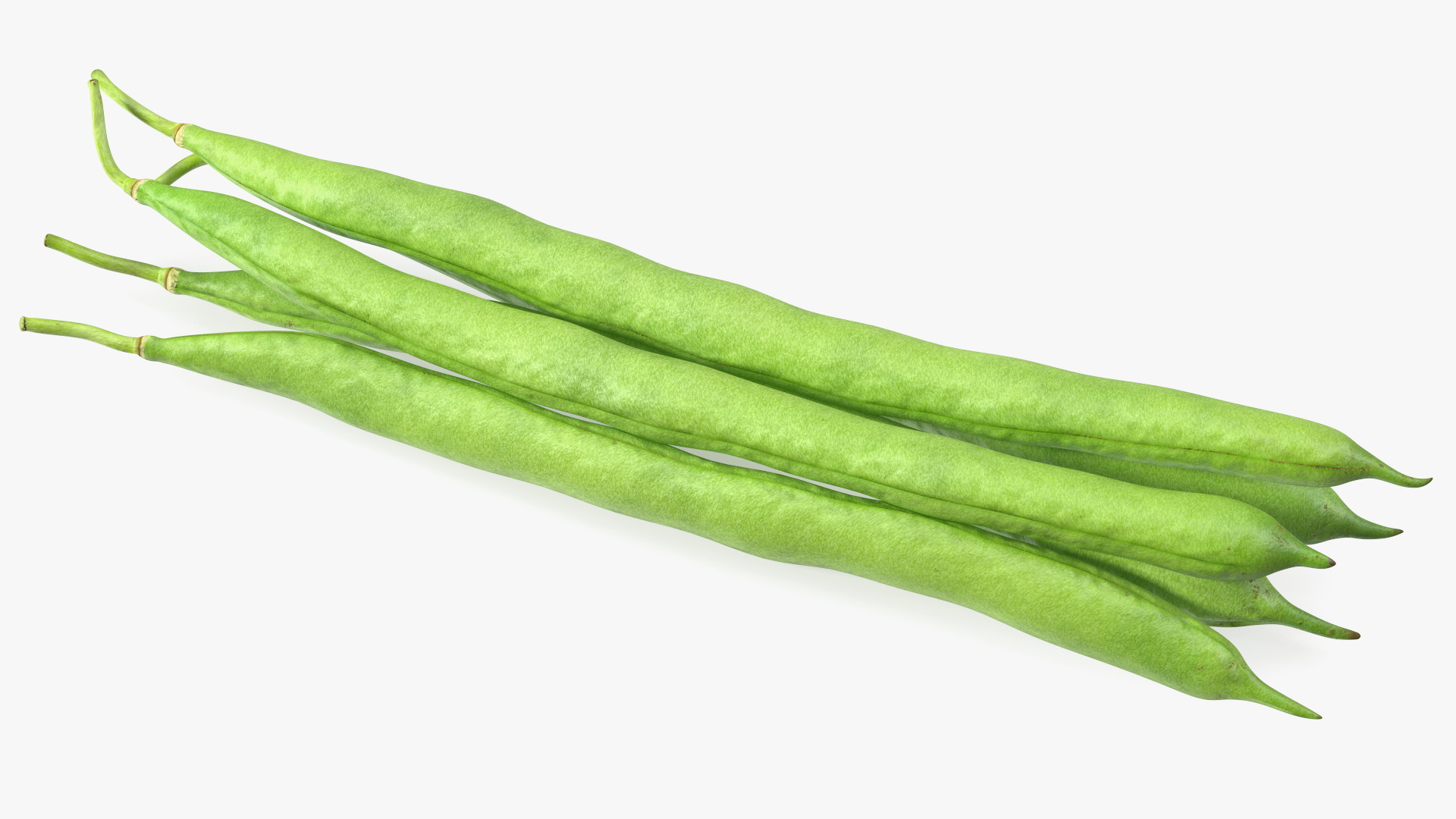 3D Green French Beans model