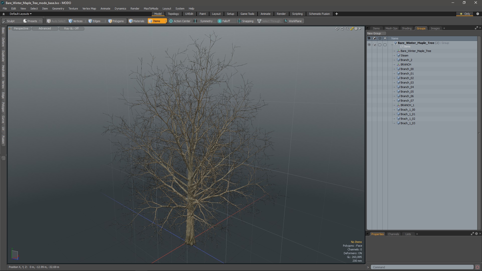 Bare Winter Maple Tree 3D