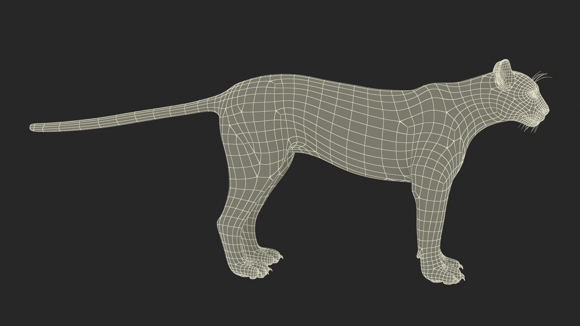 3D model Puma Rigged for Maya