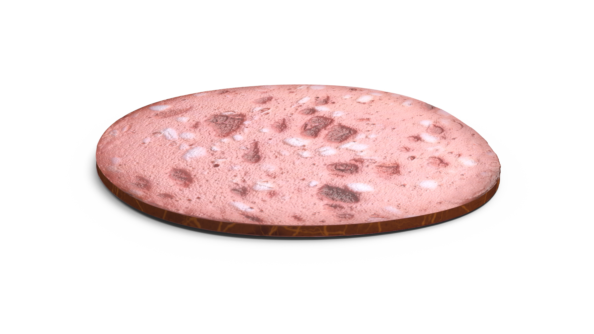 3D Slice Veal Sausage model