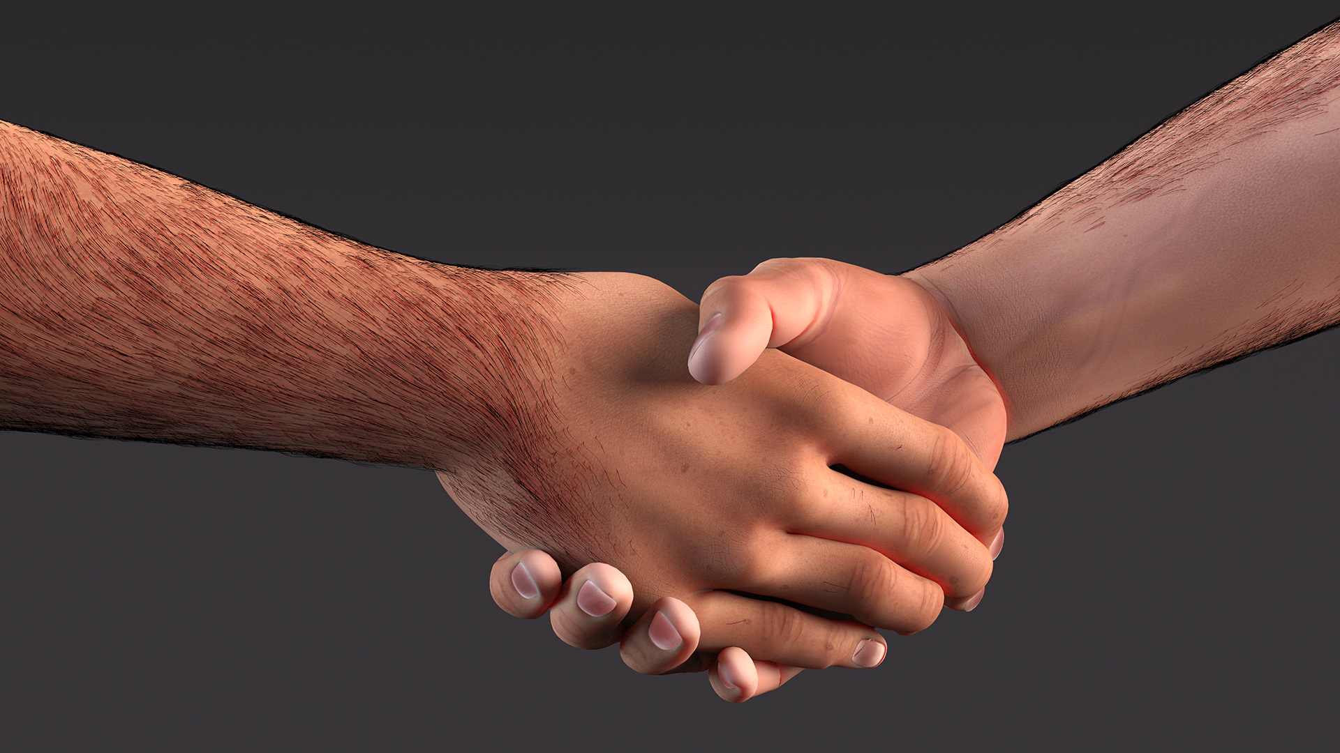 3D Handshake Man Hands with Fur model