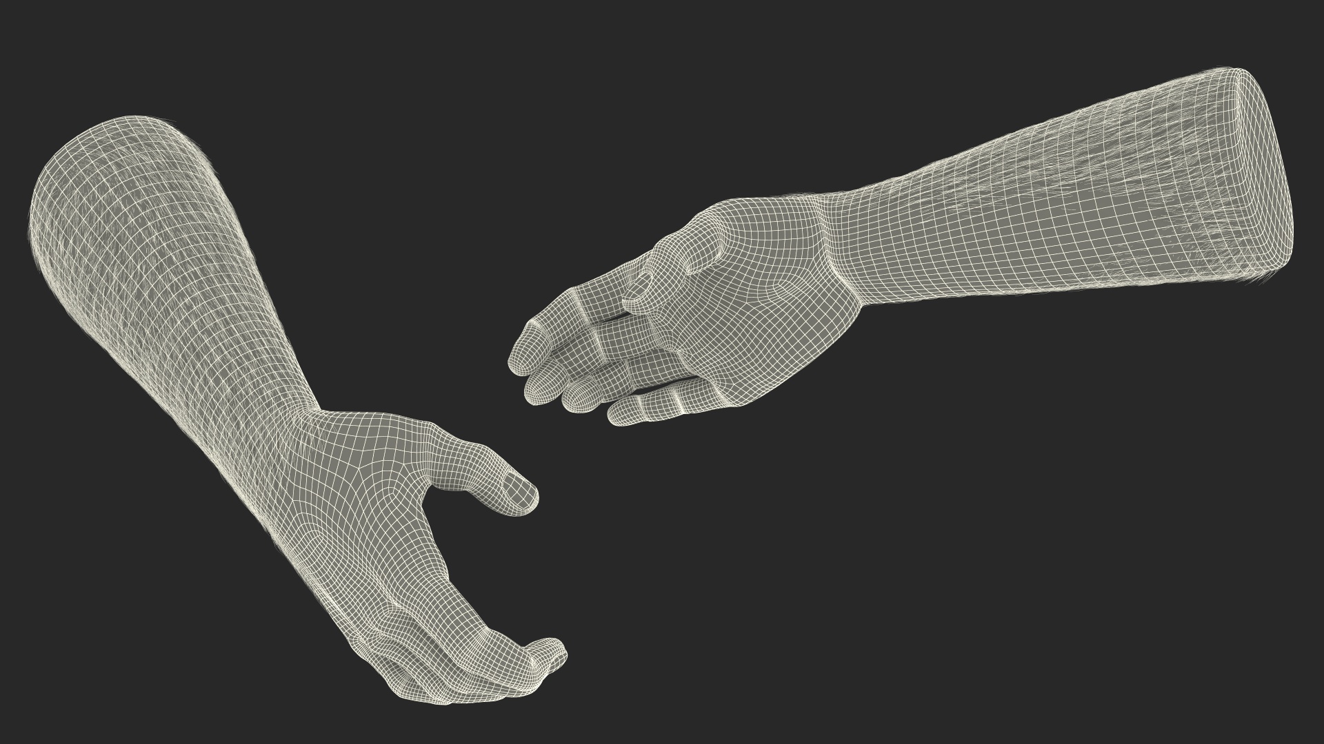 3D Handshake Man Hands with Fur model