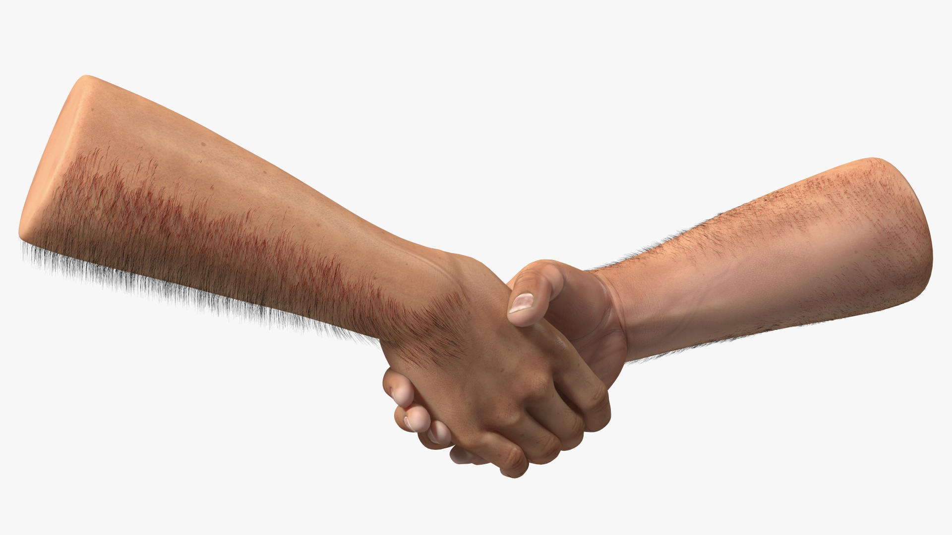 3D Handshake Man Hands with Fur model